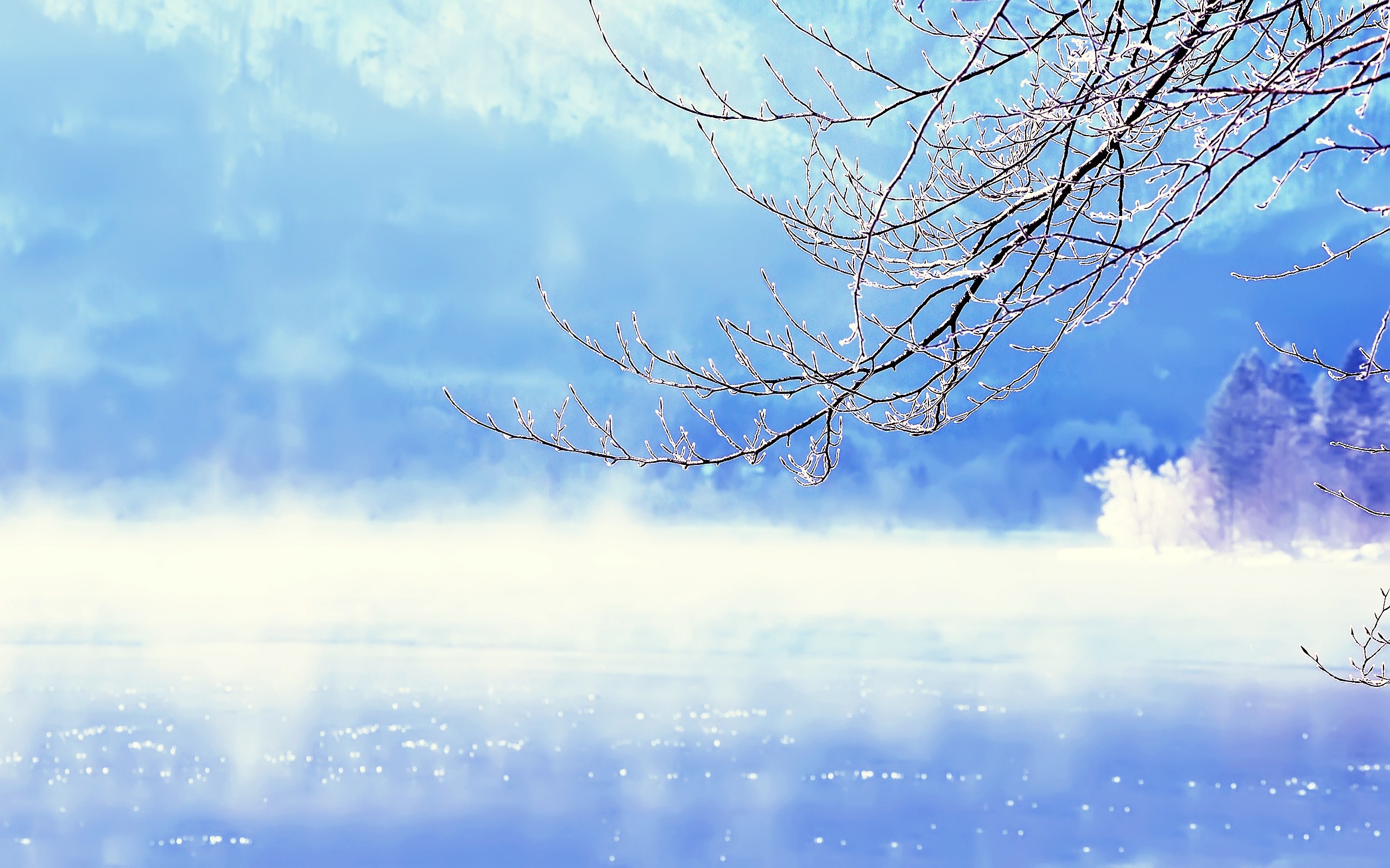 2560x1600 Beautiful Winter Background Wallpaper, High Definition, High Quality