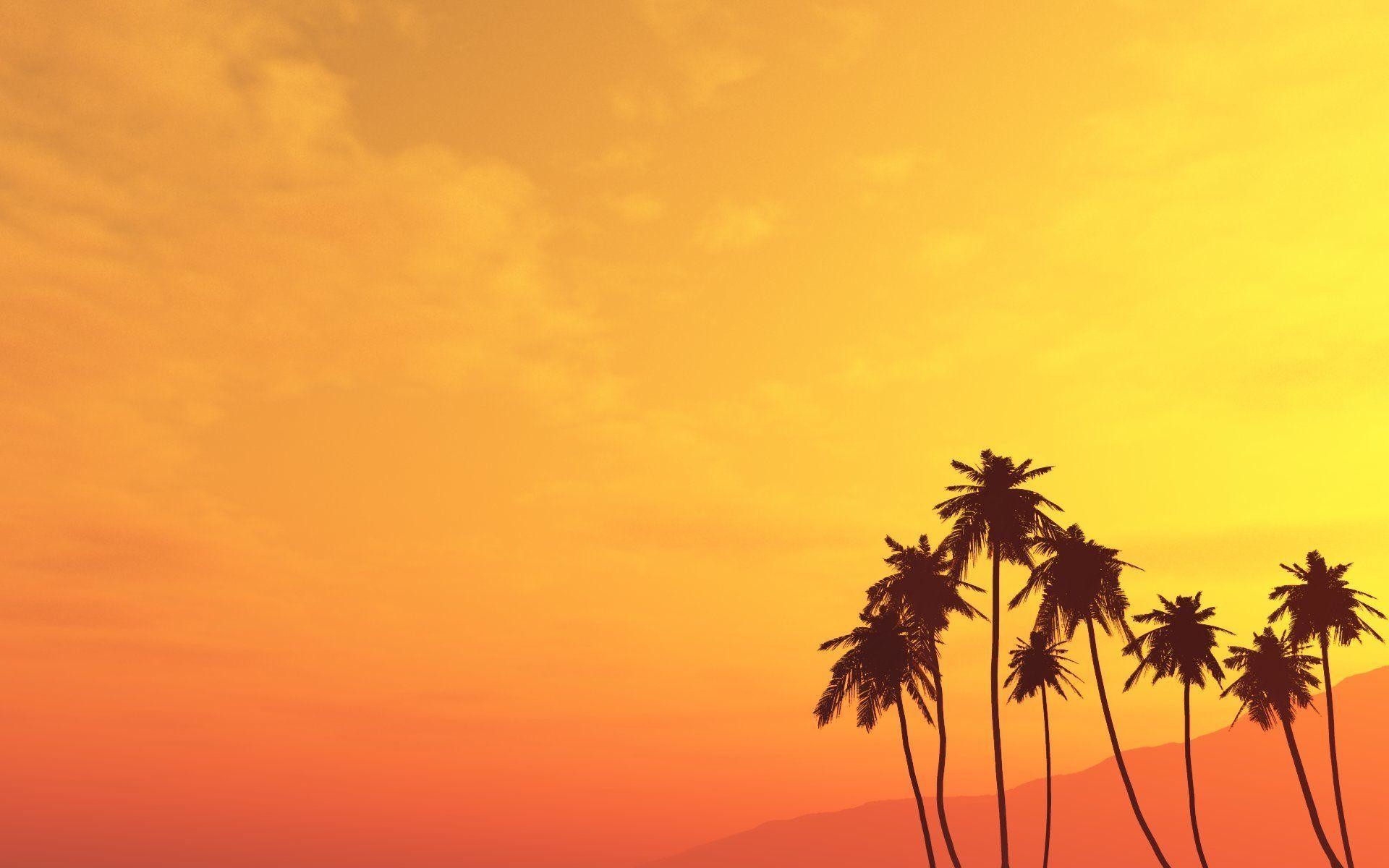 1920x1200 Palm Tree Desktop Wallpaper | Palm Tree Images | Cool Wallpapers