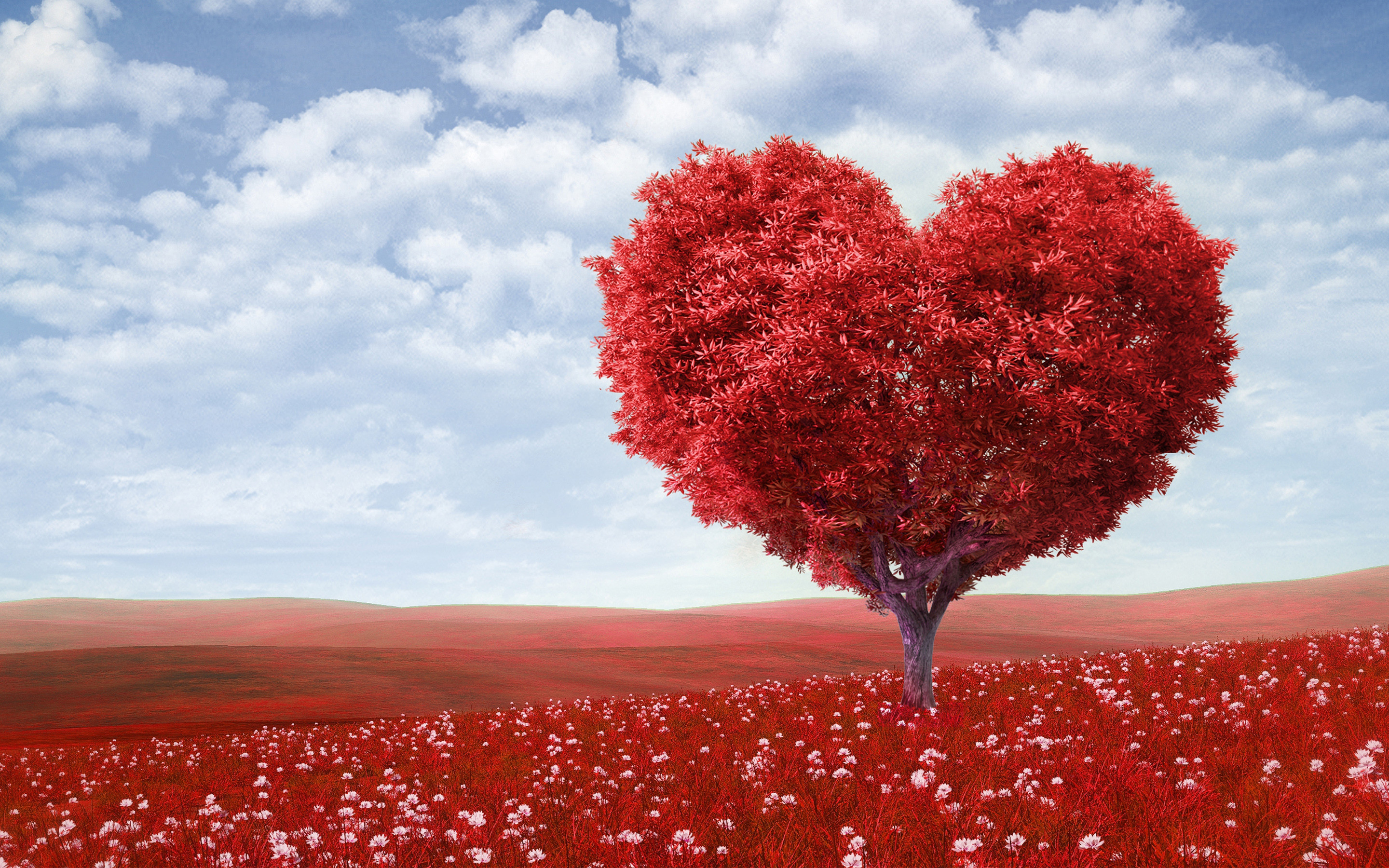 2880x1800 Tags: Love Heart tree