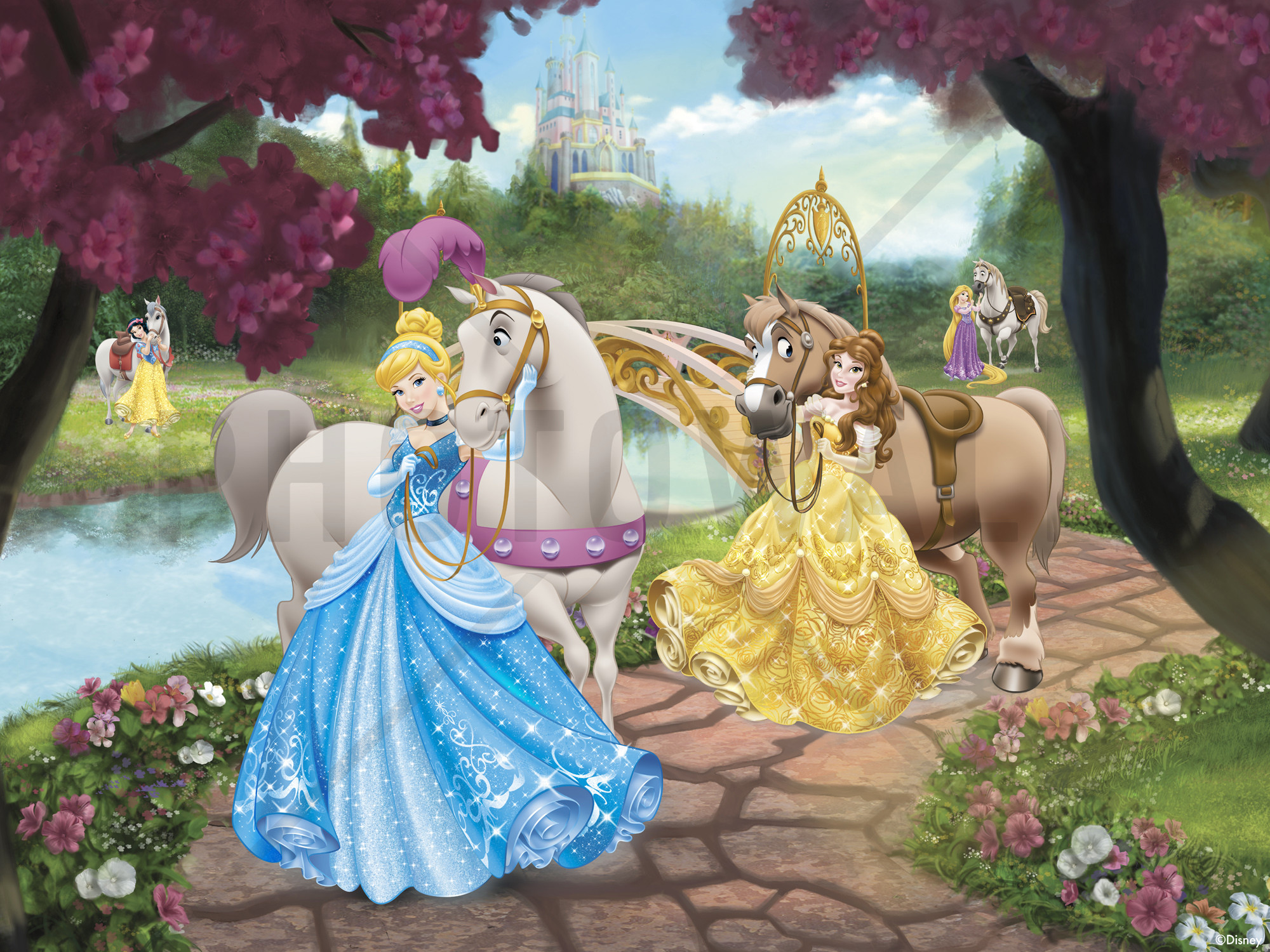 2000x1500 Disney Princess - Horses - Wall Mural & Photo Wallpaper - Photowall