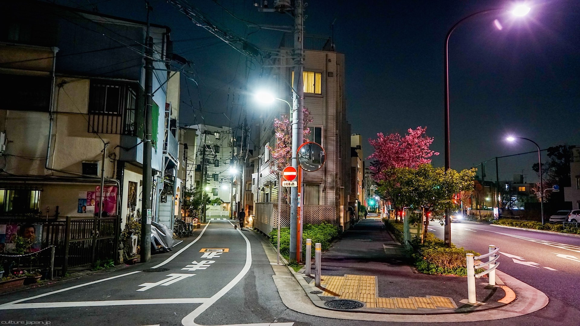1920x1080 cityscape, Street light, Road, Japan Wallpapers HD / Desktop and Mobile  Backgrounds