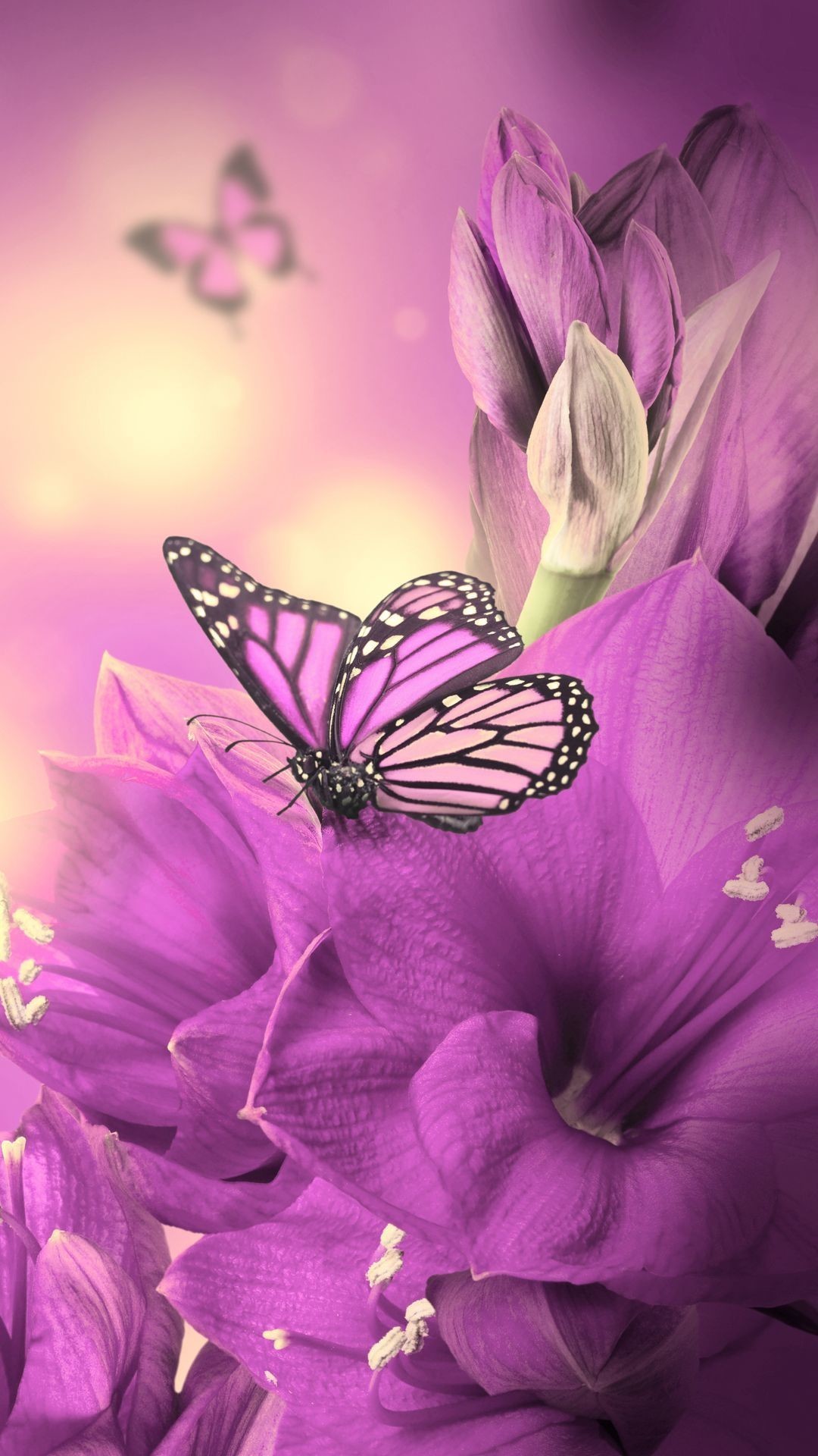 1080x1920 Pink Butterfly Live Wallpaper 67 HD Collections New Glitter Wallpapers