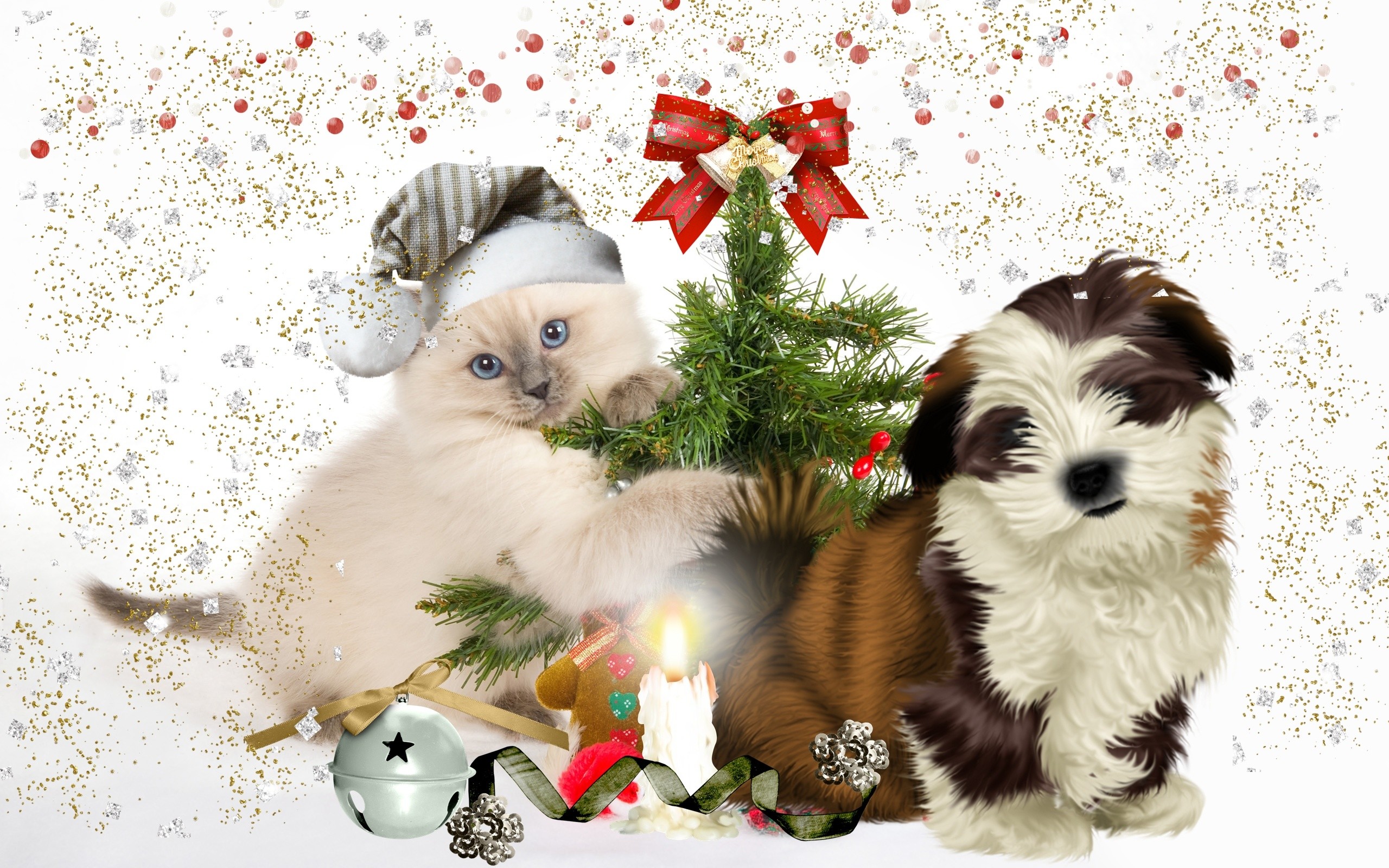 2560x1600 40 Wallpapers and Pictures of Dogs Pug Wallpaper, Screensaver, Background  Cute Pug Puppy Christmas .