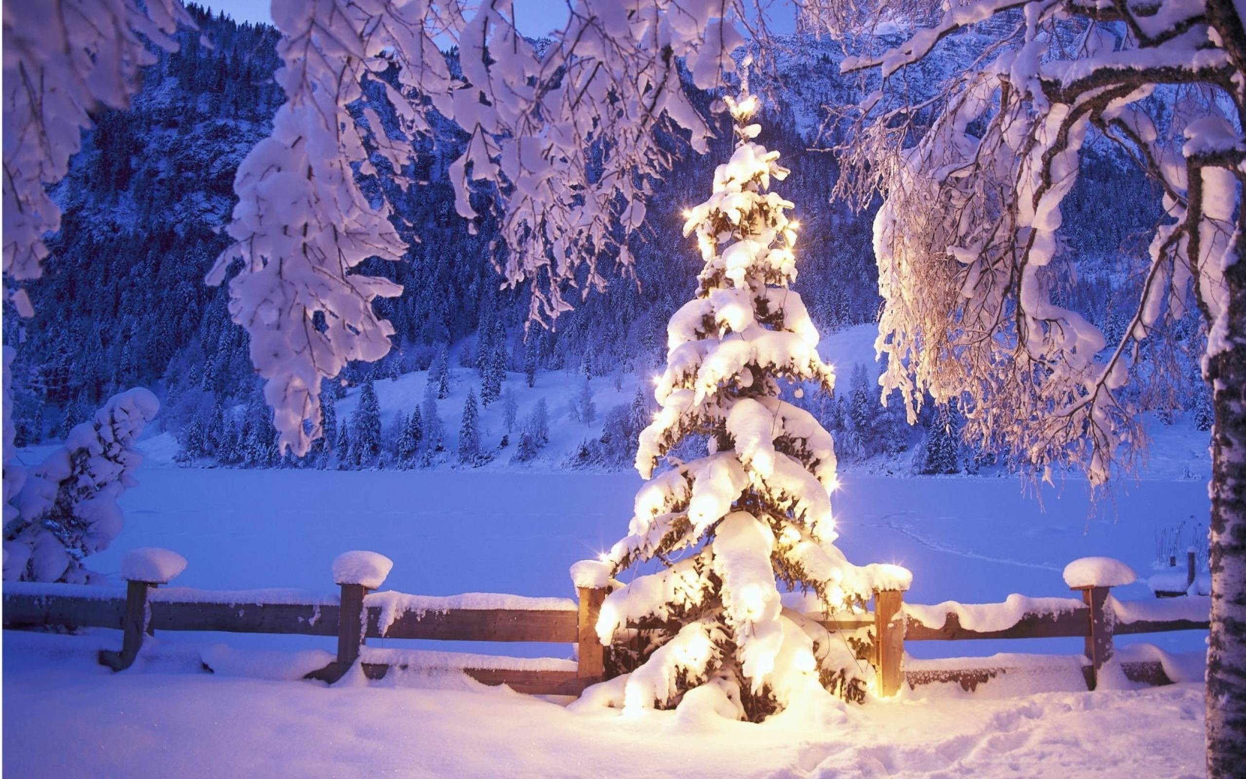 2560x1600 Images For > Christmas Scene Background