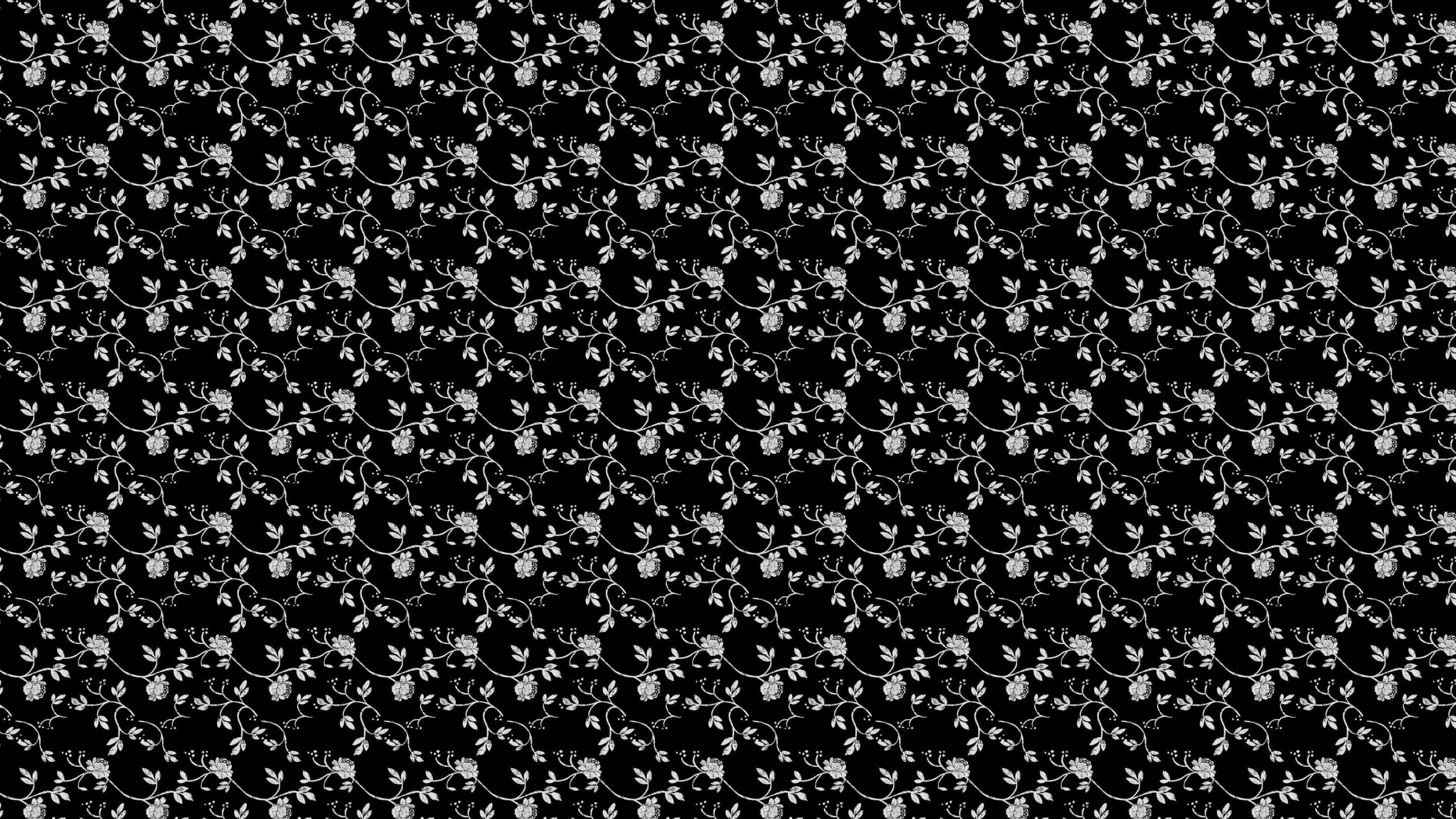 2560x1440 Black Roses Wallpaper Tumblr