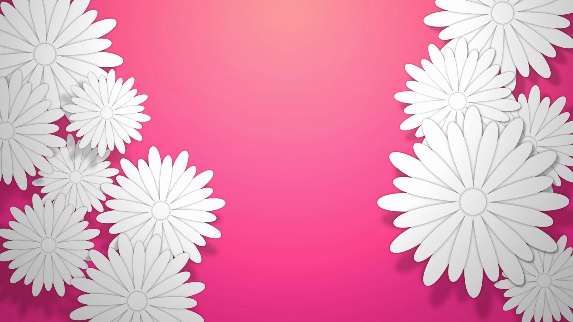 1920x1080 White flower animated with shadows on pink background. Motion Background -  Storyblocks Video