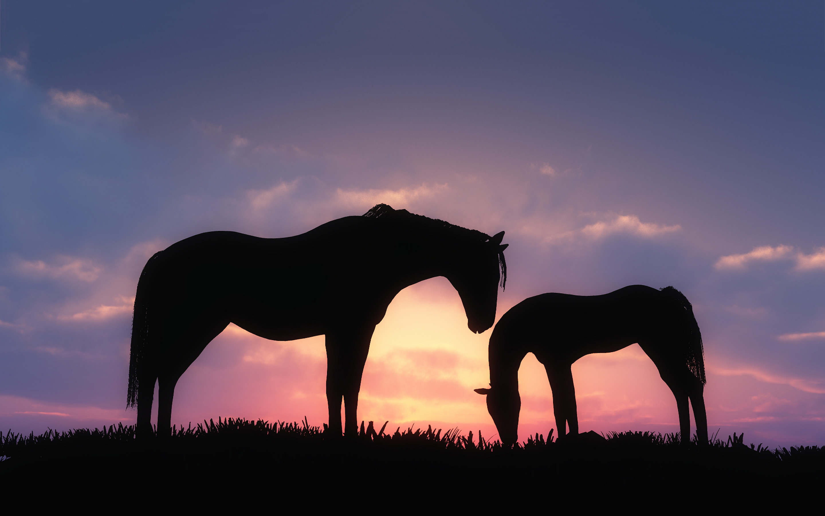 2880x1800 Horse Sunset Wallpaper Desktop Background