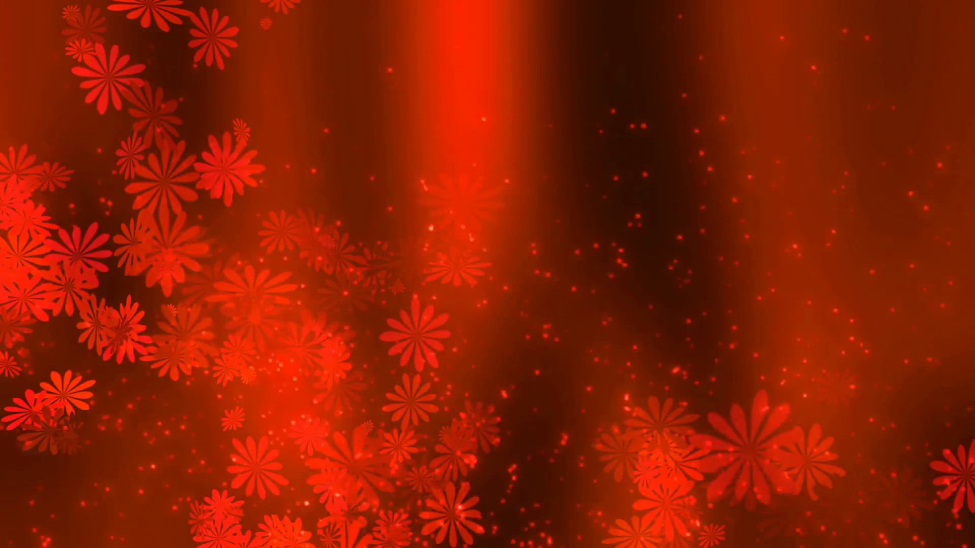 1920x1080 Red Love abstract flower Background 01 Stock Video Footage - VideoBlocks