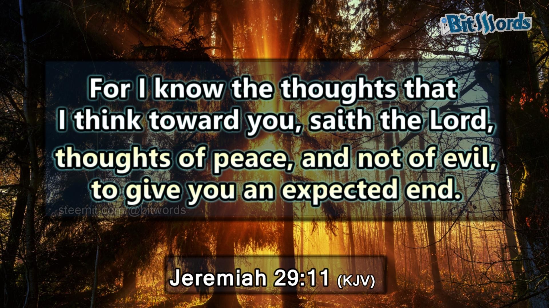 1920x1080 Jeremiah 29:11 (KJV). bitwords steemit bible verse of the day For I know  the thoughts that I think toward