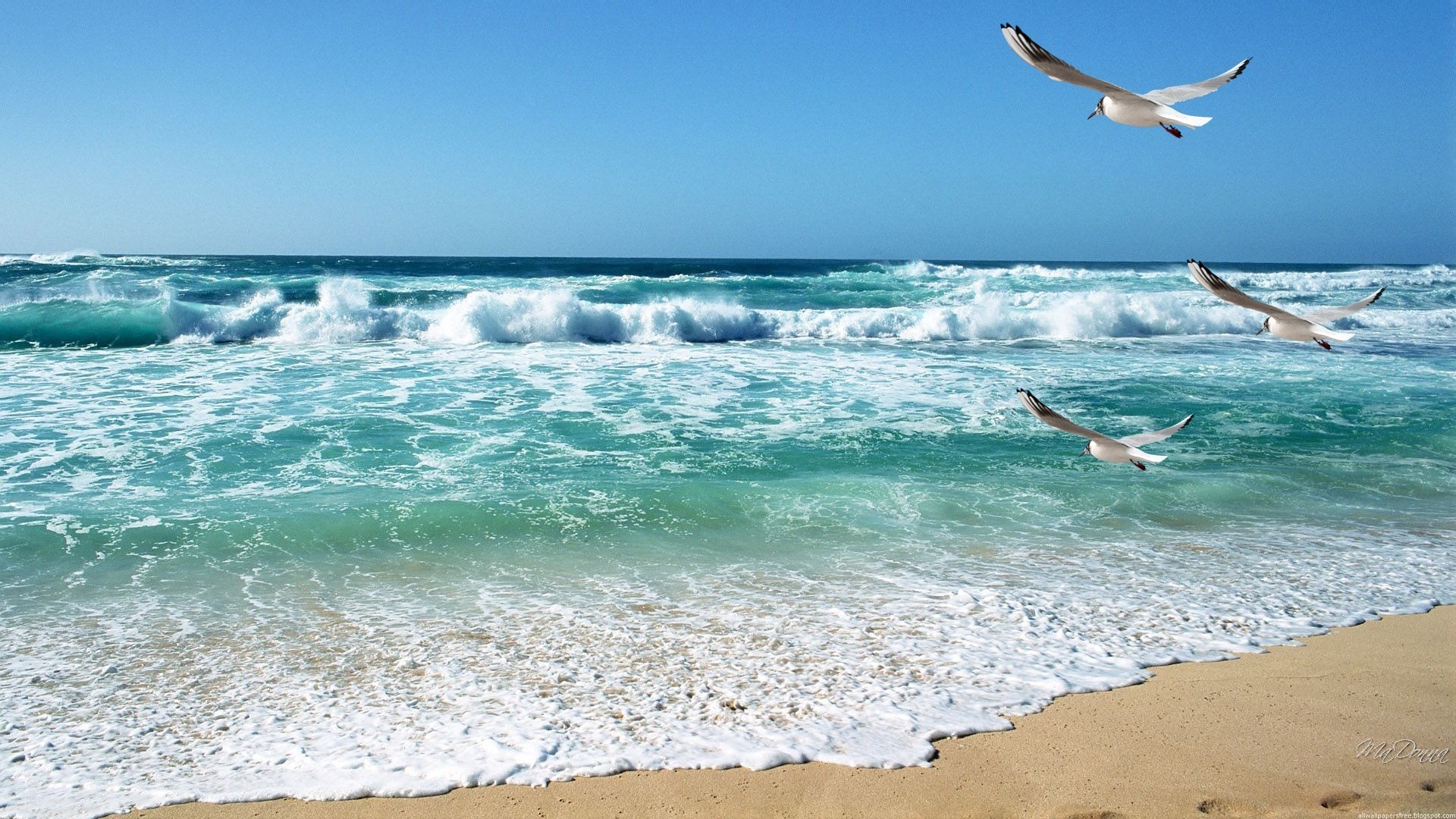 1920x1080 beach-calming-waves-seashore-bay-ocean-birds-sky-