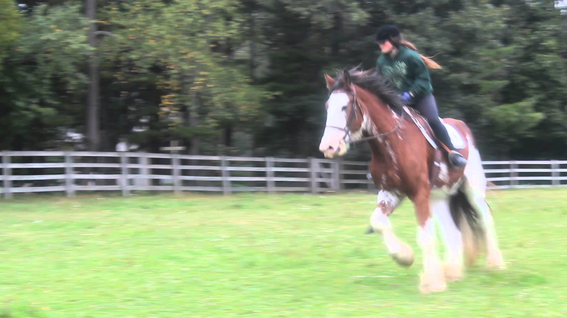 1920x1080 B riding the Clydesdale D