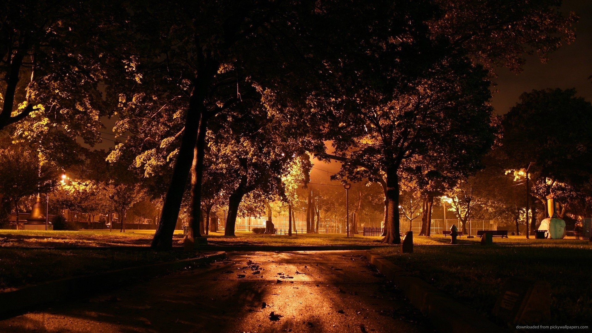 1920x1080 Dark Night In The Fall Park for 