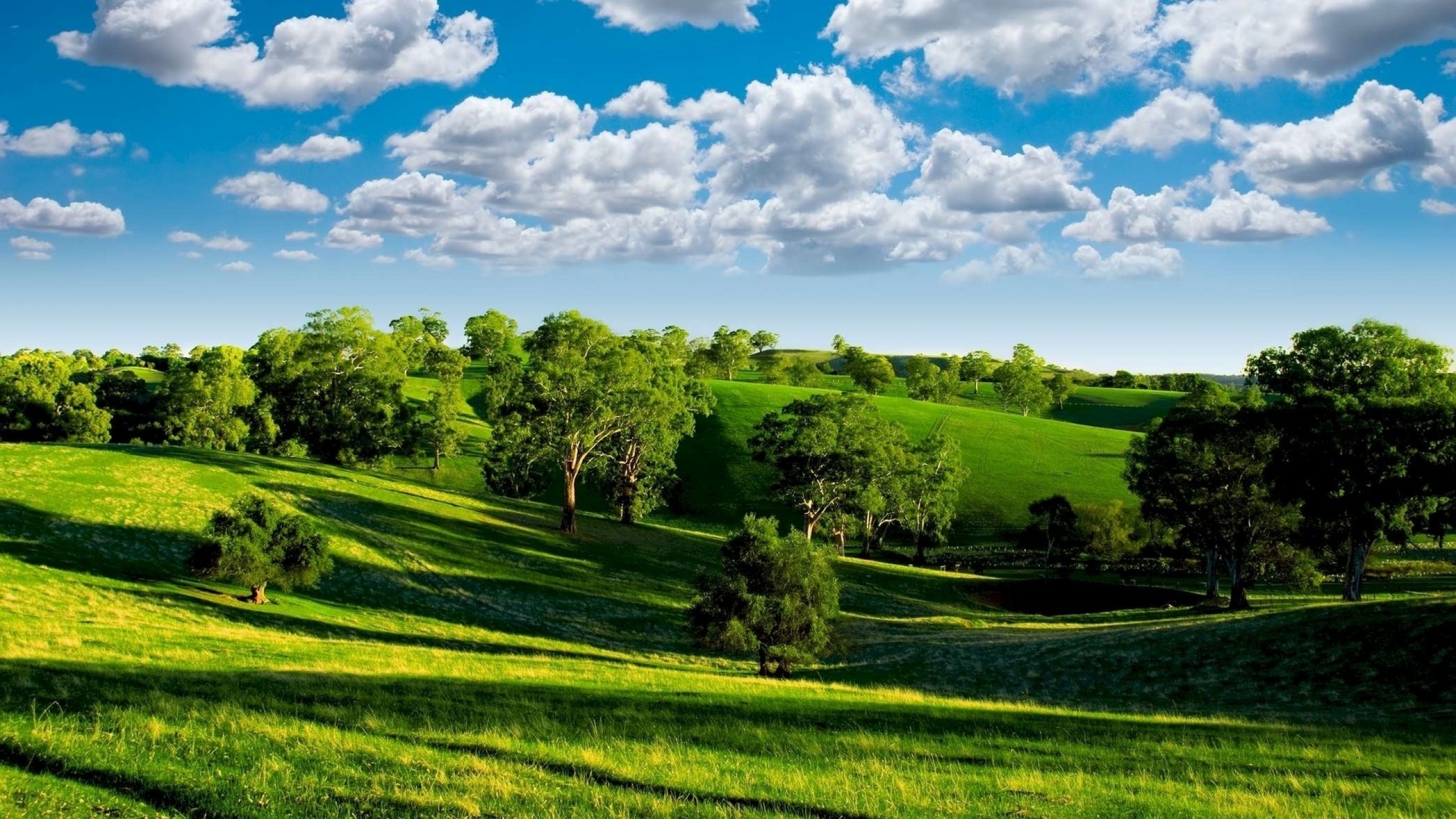 2560x1440 Preview wallpaper summer, hills, trees, green, meadows, clouds, sky,