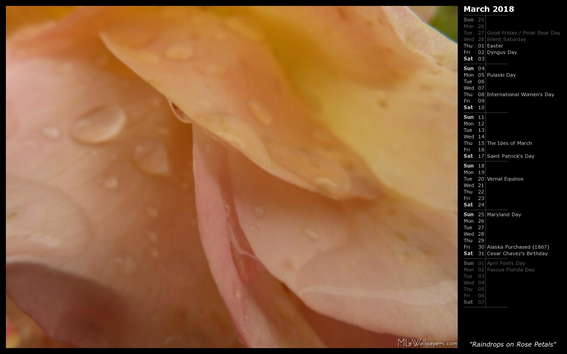 1920x1200 "Raindrops on roses ...." Turns out they really are quite pretty. Here's an  abstract nature wallpaper of raindrops on peach-pink rose petals.