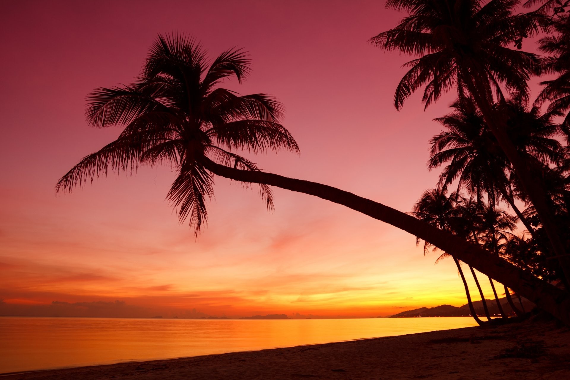 1920x1280 tropical sunset weeping palm trees silhouette shore ocean sea beach  beautiful scene nature landscape sky rain