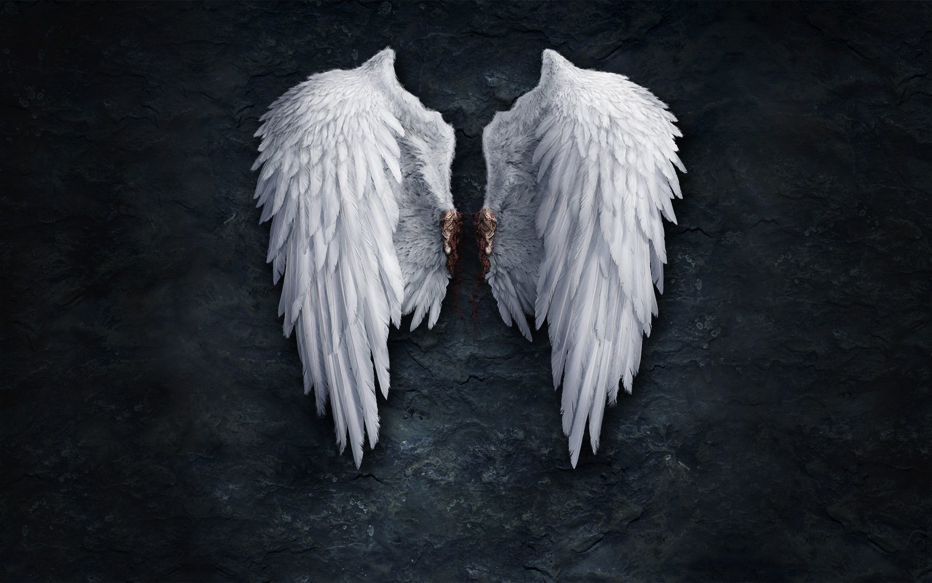 1920x1200 Angel Wings wallpapers and images - download wallpapers, pictures .