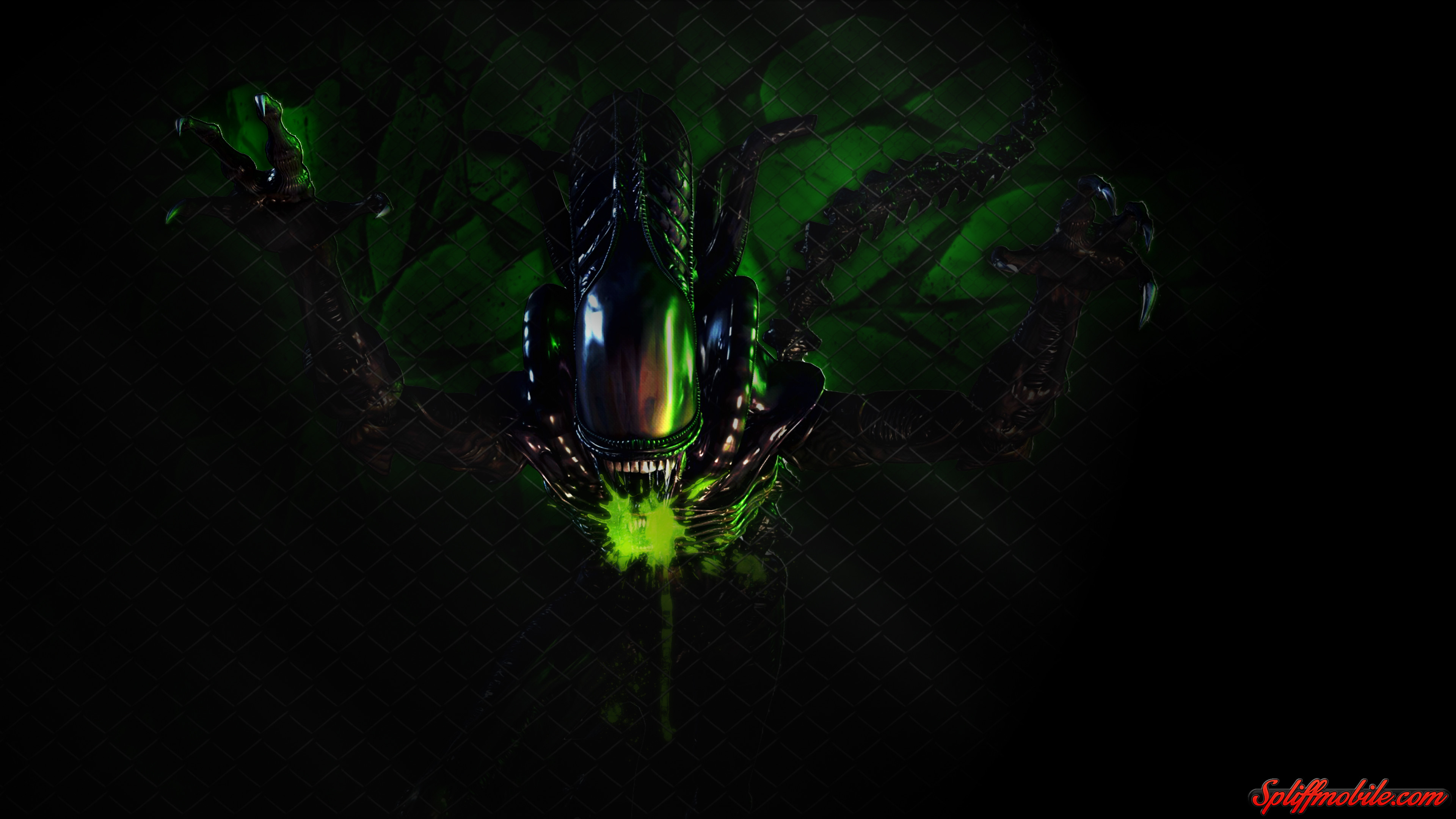 3840x2160 High Definition Images Collection: Alien, by Donnie Basquez
