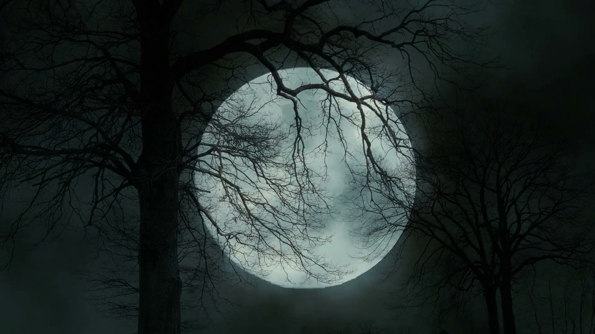 1920x1080 mystic night sky. large moon background. full moon night. trees silhouette