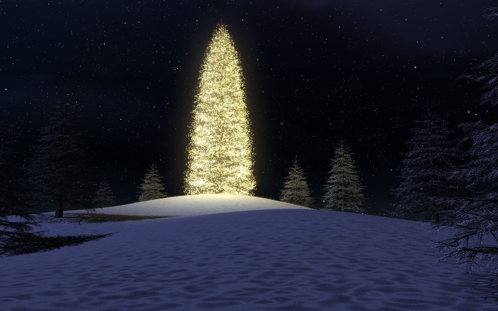 1920x1200 Christmas Tree In The Snow 294157