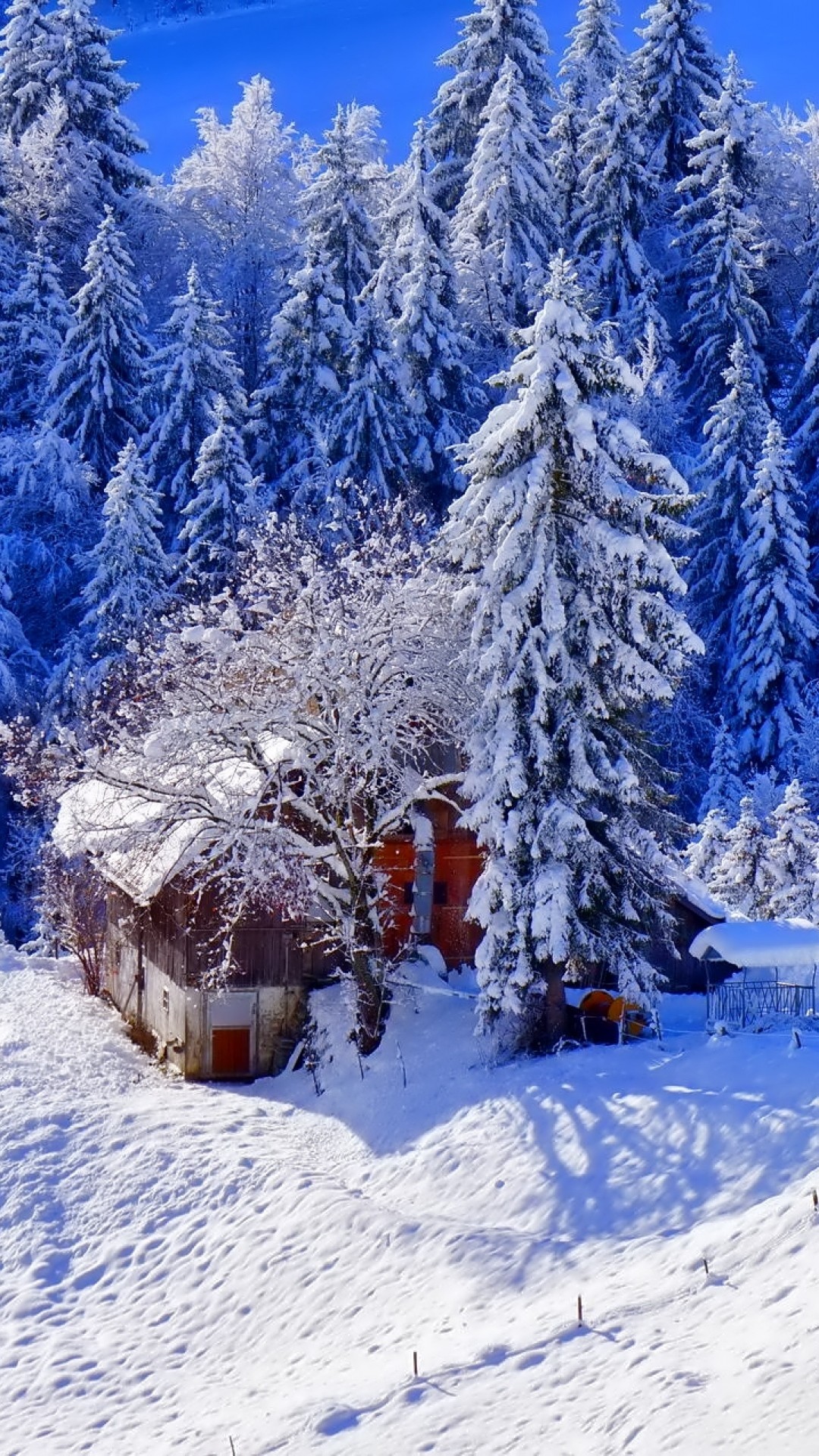 1080x1920  Wallpaper winter, house, hill, snow, trees