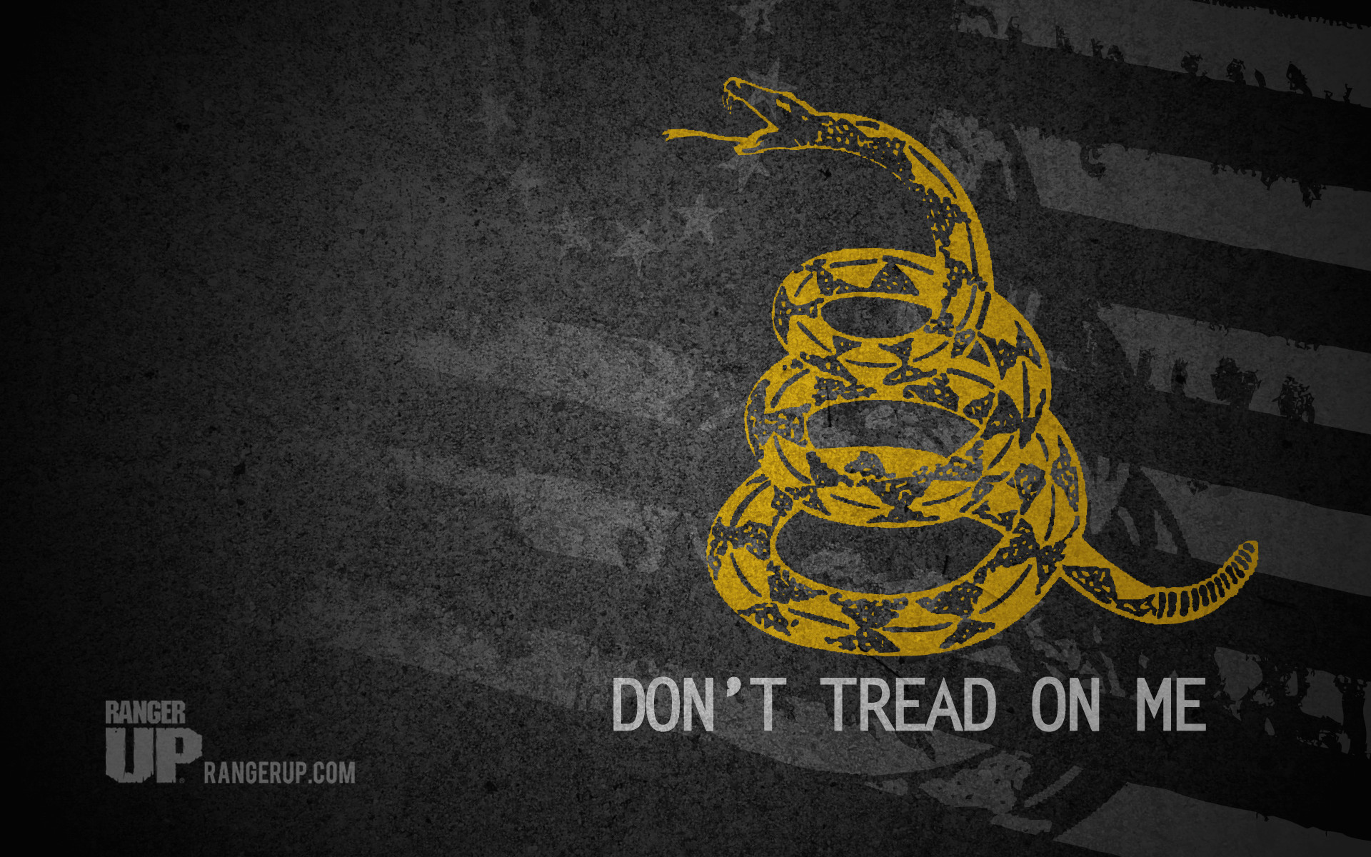 1920x1200 HD Gadsden Flag 4k Picture for PC