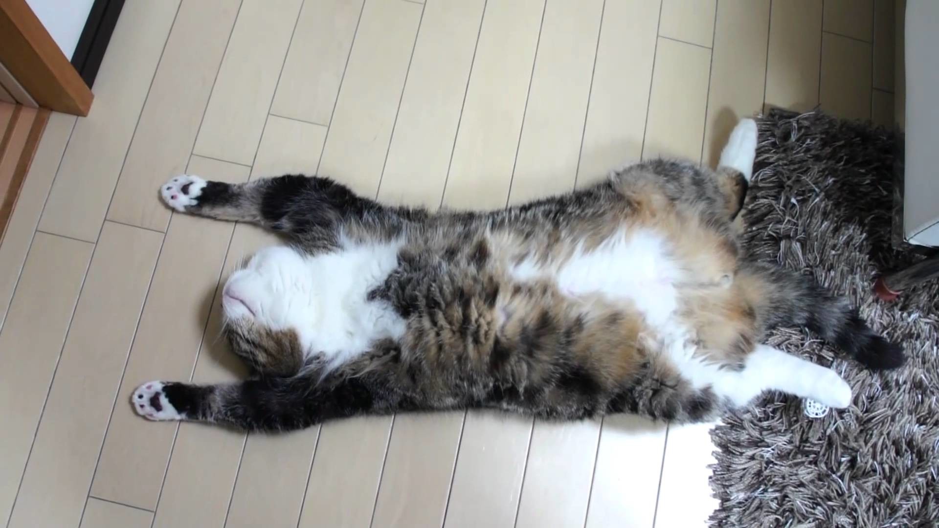 1920x1080 Exhausted Maru.-