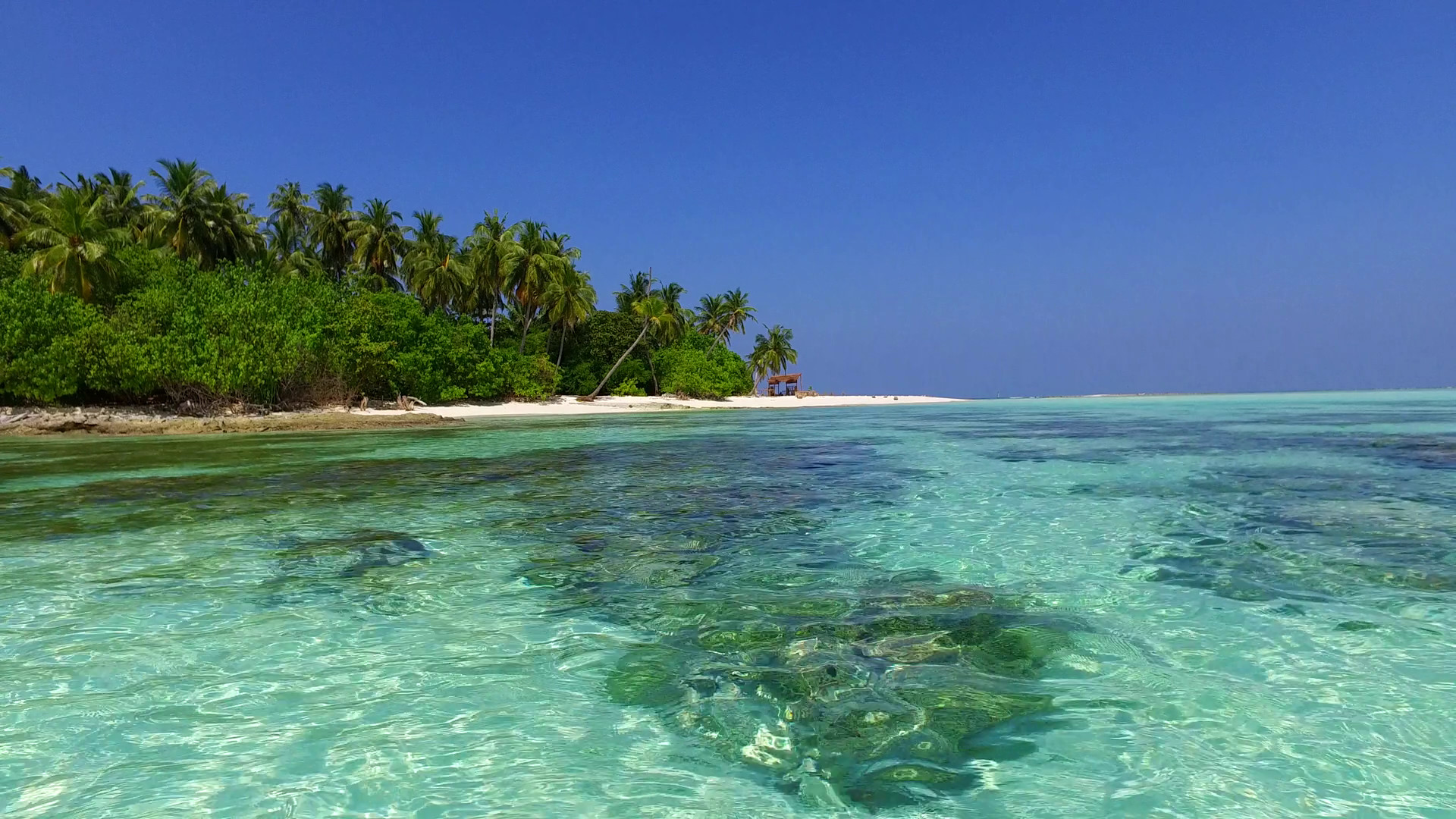1920x1080 v01606 Maldives beautiful beach background white sandy tropical paradise  island with blue sky sea water ocean