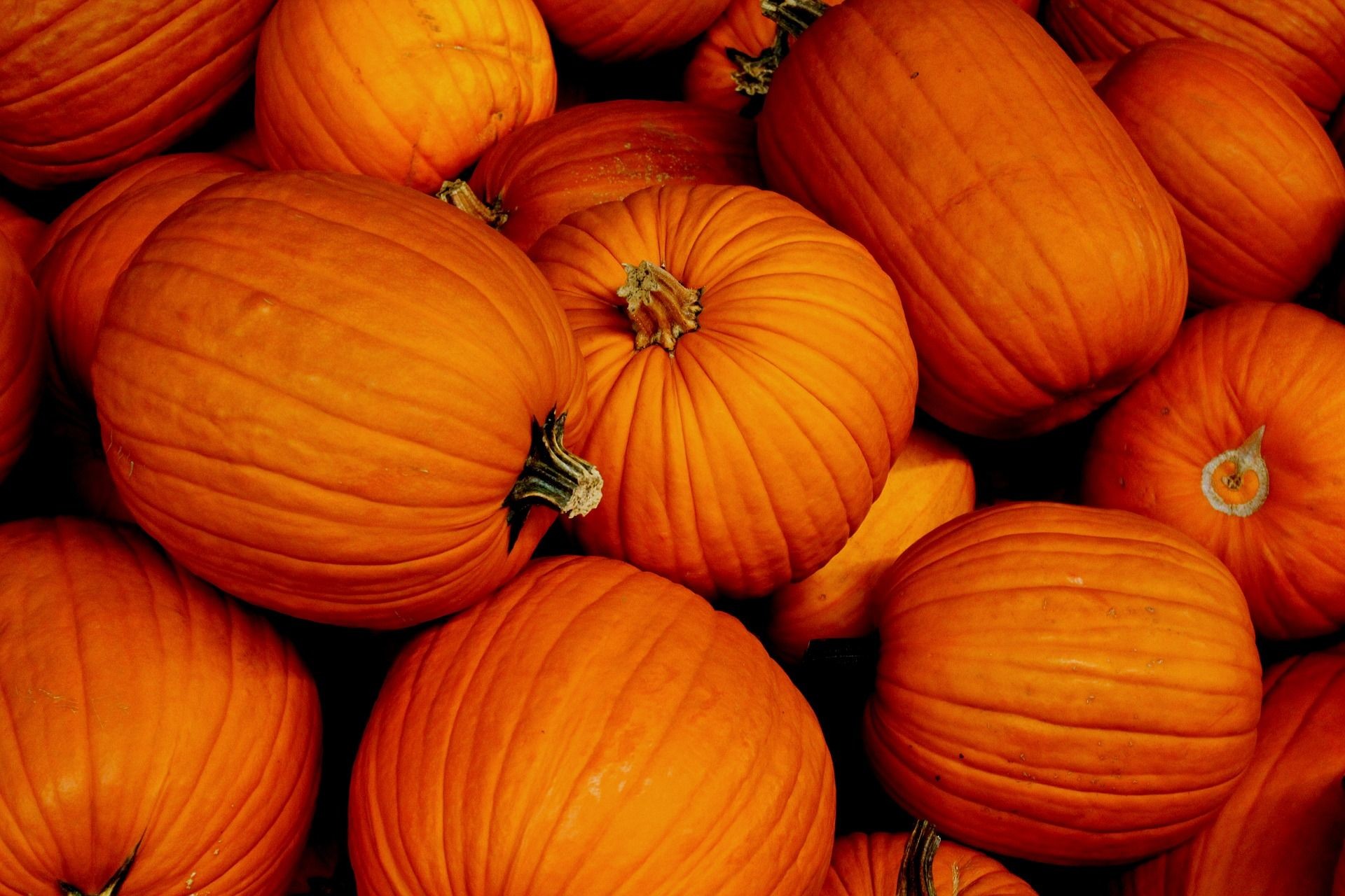 1920x1280 Orange color Halloween pumpkin desktop background image