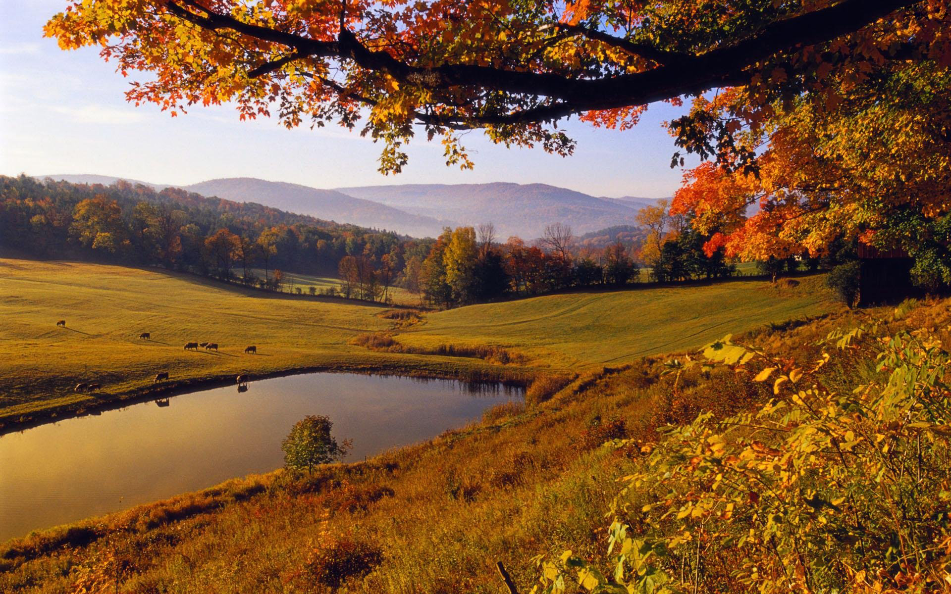 1920x1200 wallpaper.wiki-Images-Fall-Desktop-Backgrounds-PIC-WPE008869