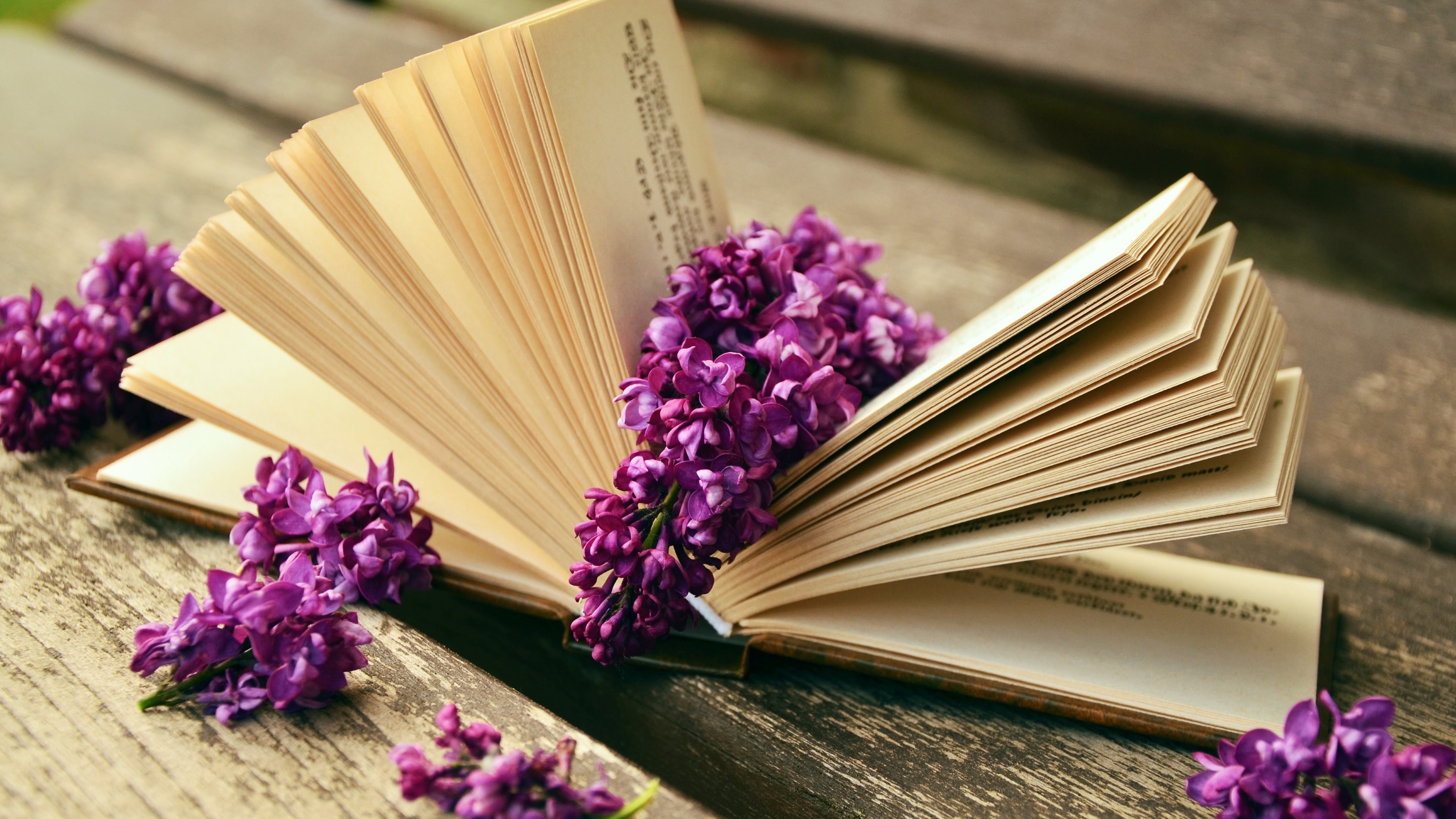 3840x2160 Man Made - Book Lilac Flower Still Life Wallpaper