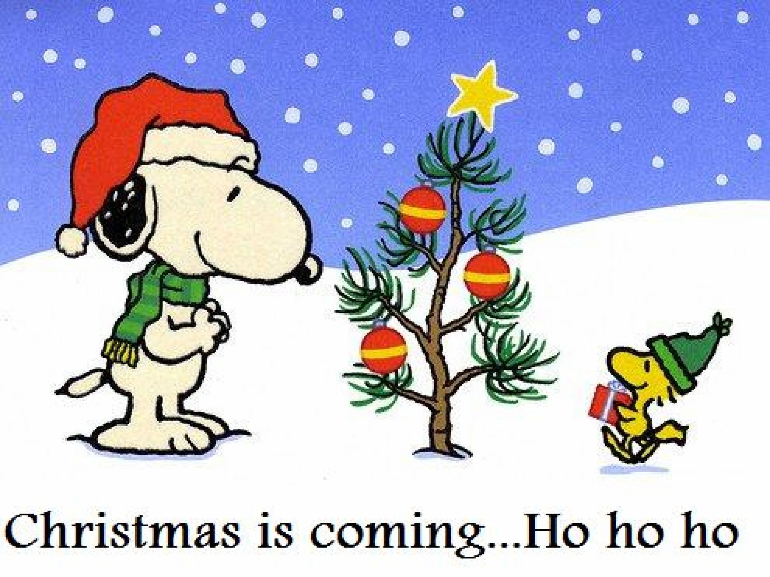 2560x1920 Free Snoopy Christmas Computer Wallpaper #2858L42 () ...