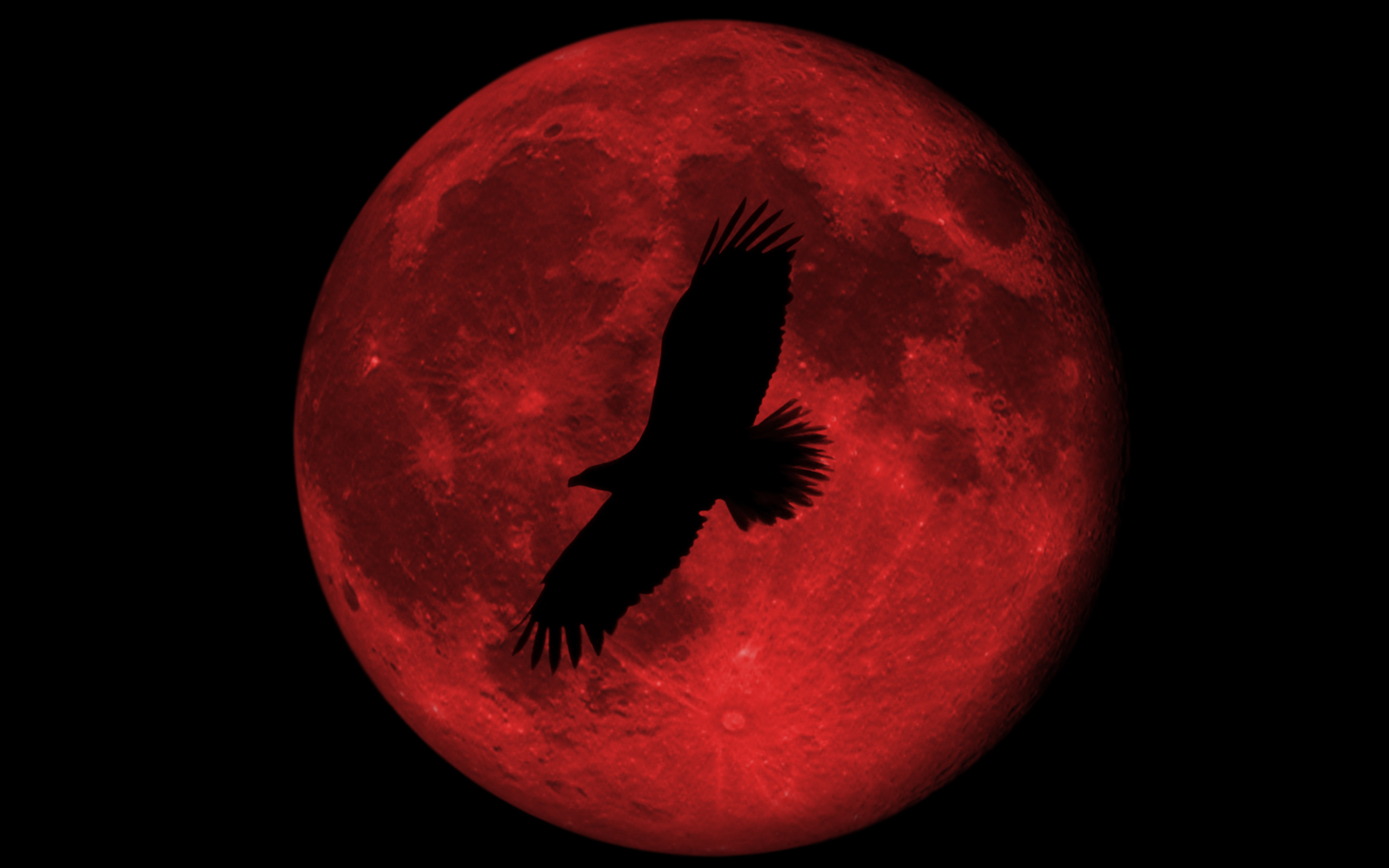 2560x1600 Blood Red Moon Png Blood red moon pics 