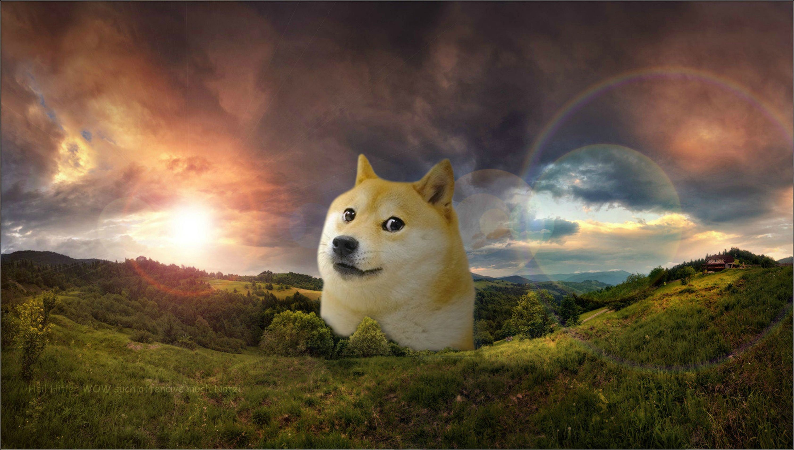 3370x1909 friend of mine asked me to make him a doge-wallpaper. Little does he