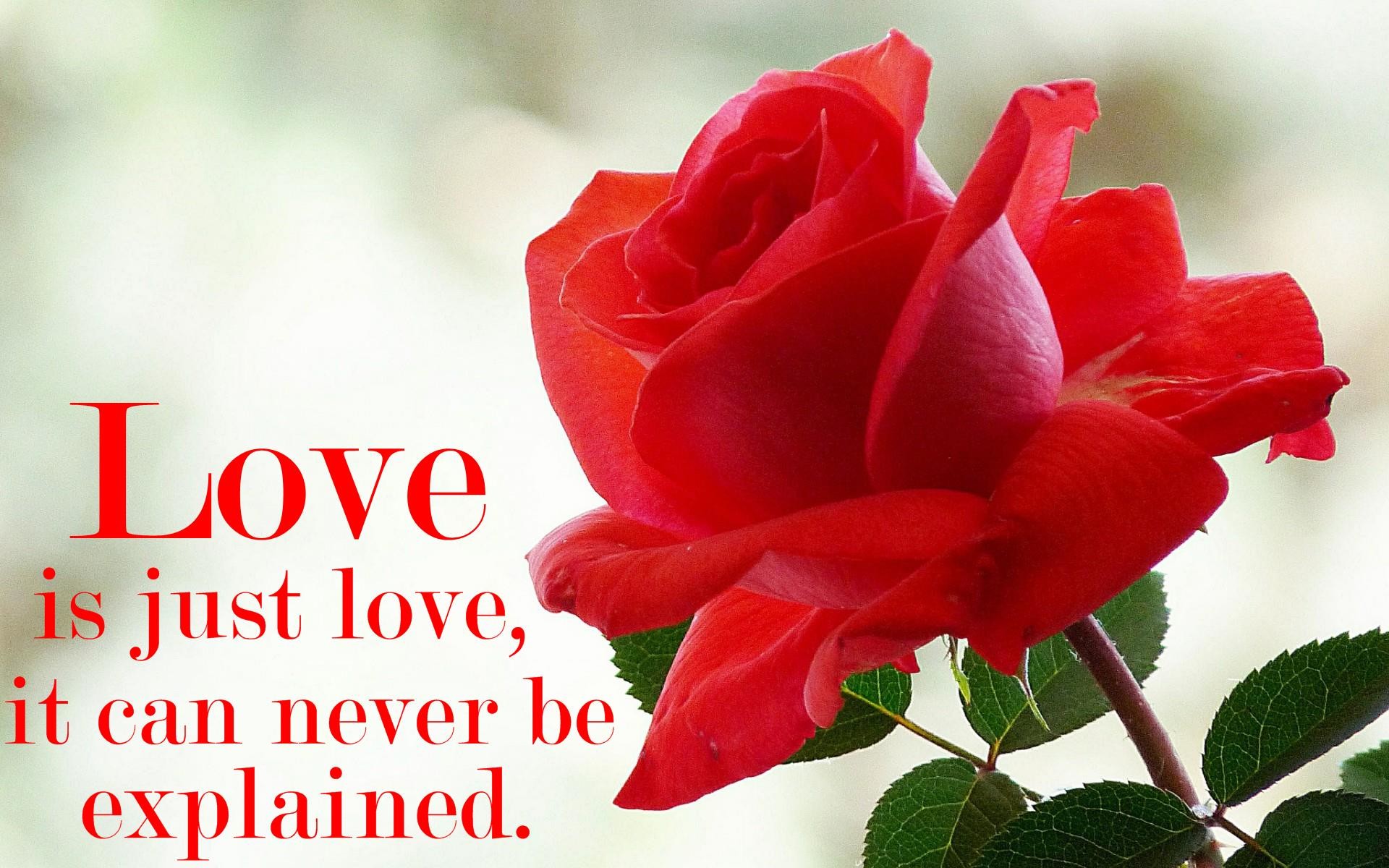 1920x1200 Nice Love Quotes Wallpaper