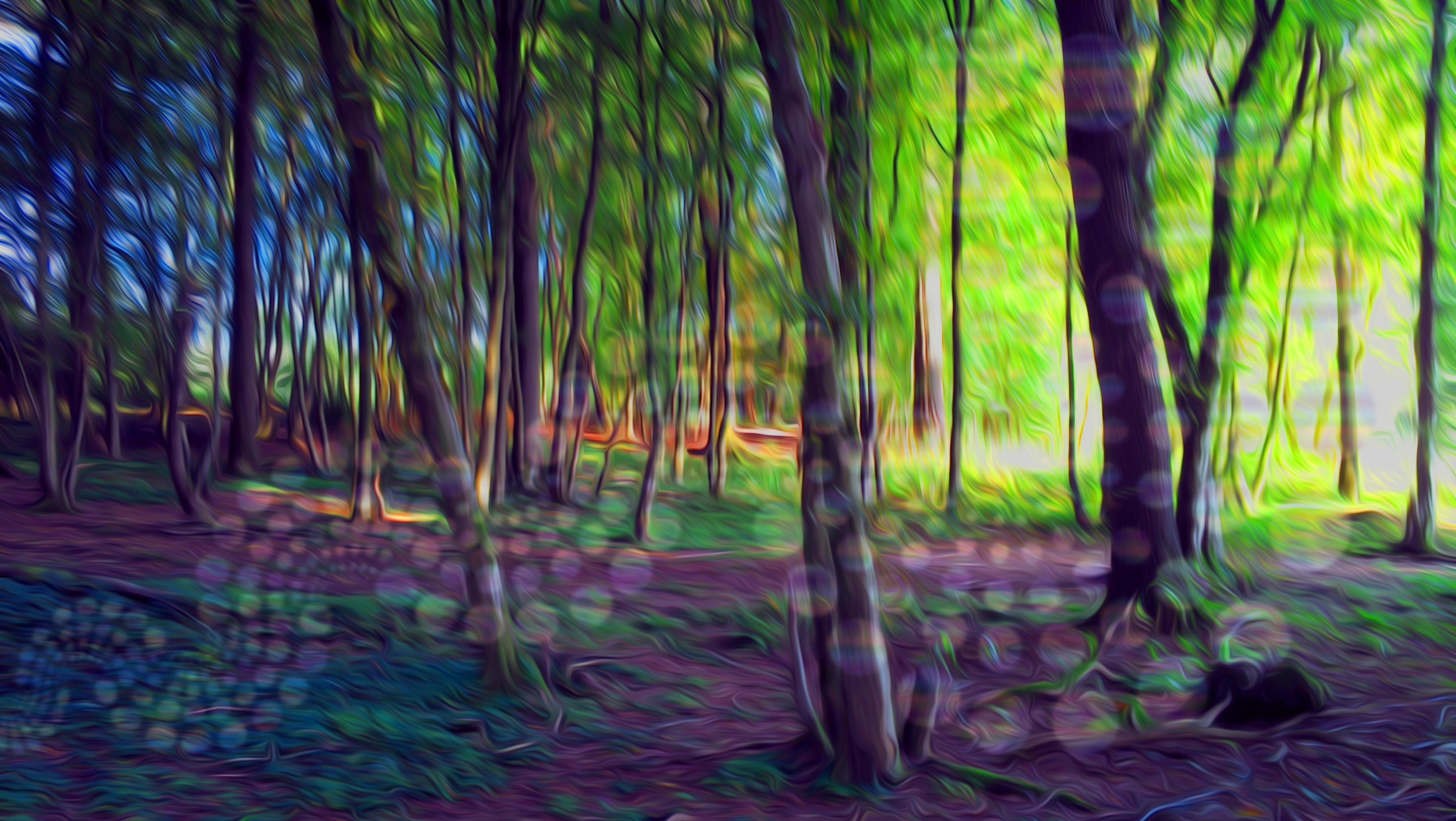 Кислотный лес