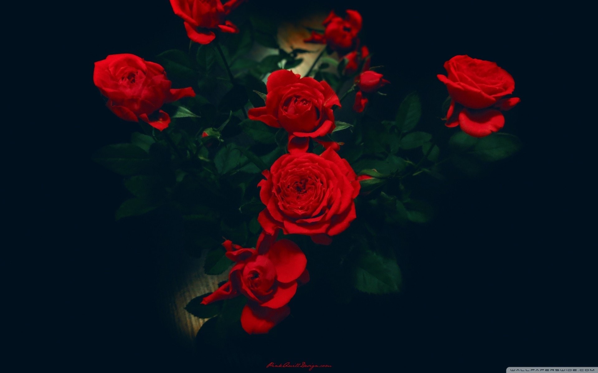 1920x1200 mig- 15 beautiful love red roses flower design dark