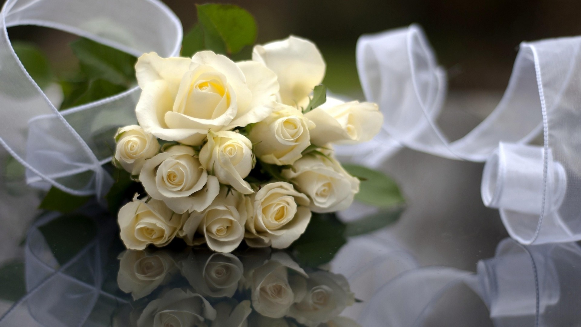 1920x1080 Preview wallpaper rose, white, flowers, bouquet, ribbon, reflection  