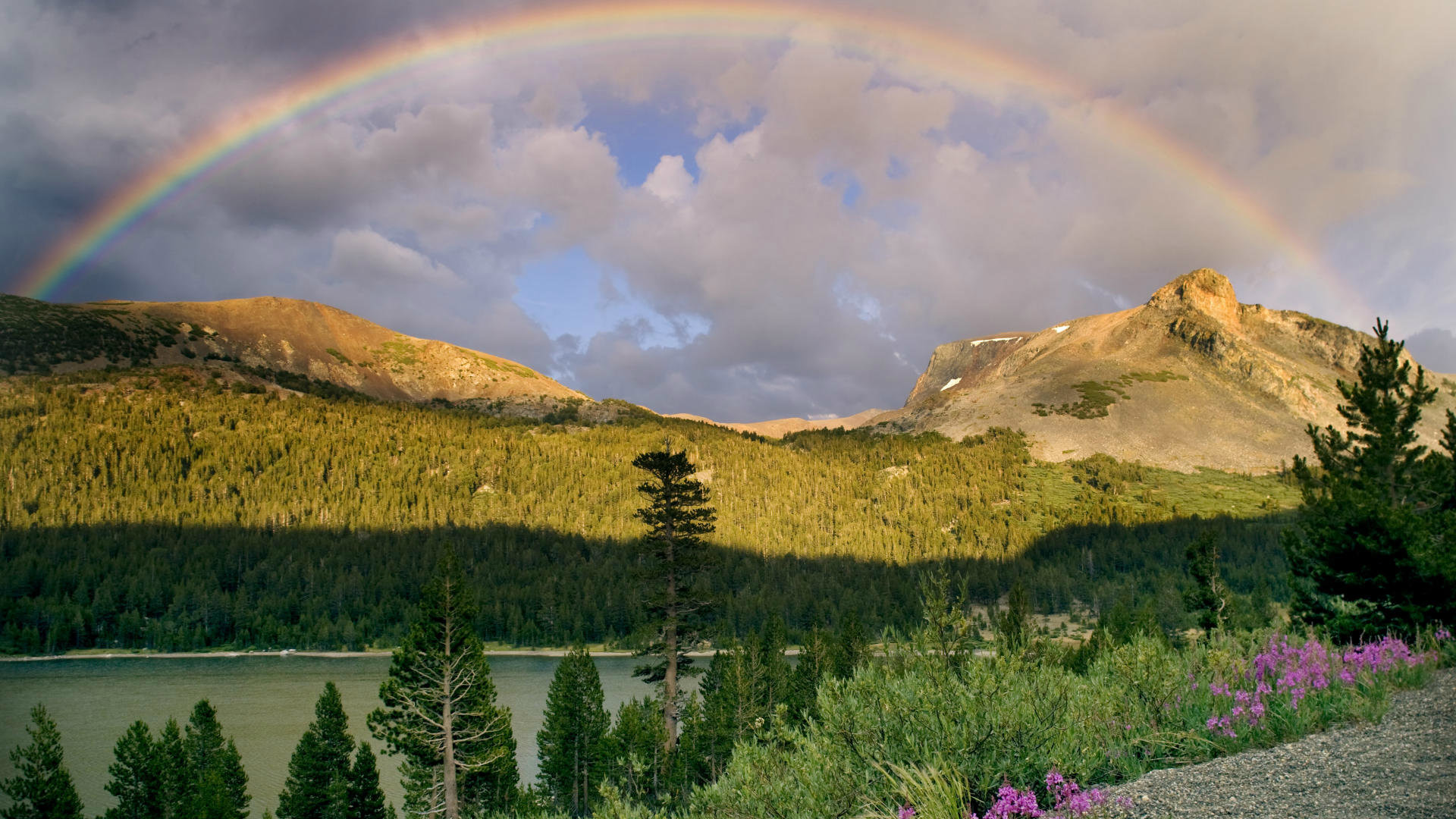 1920x1080 Full HD 1080p Green Hills Nature Wallpaper – Rainbow Pic