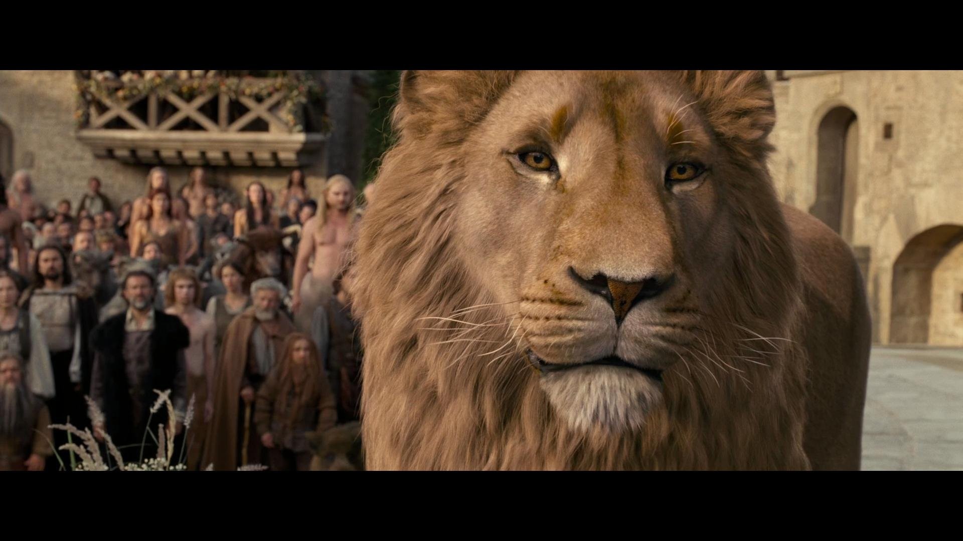 Narnia Aslan HD wallpaper