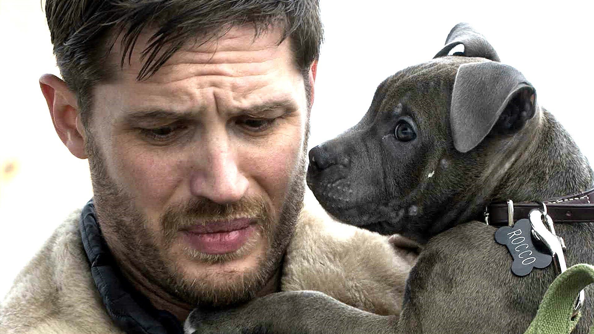 Tom Hardy Wallpapers.