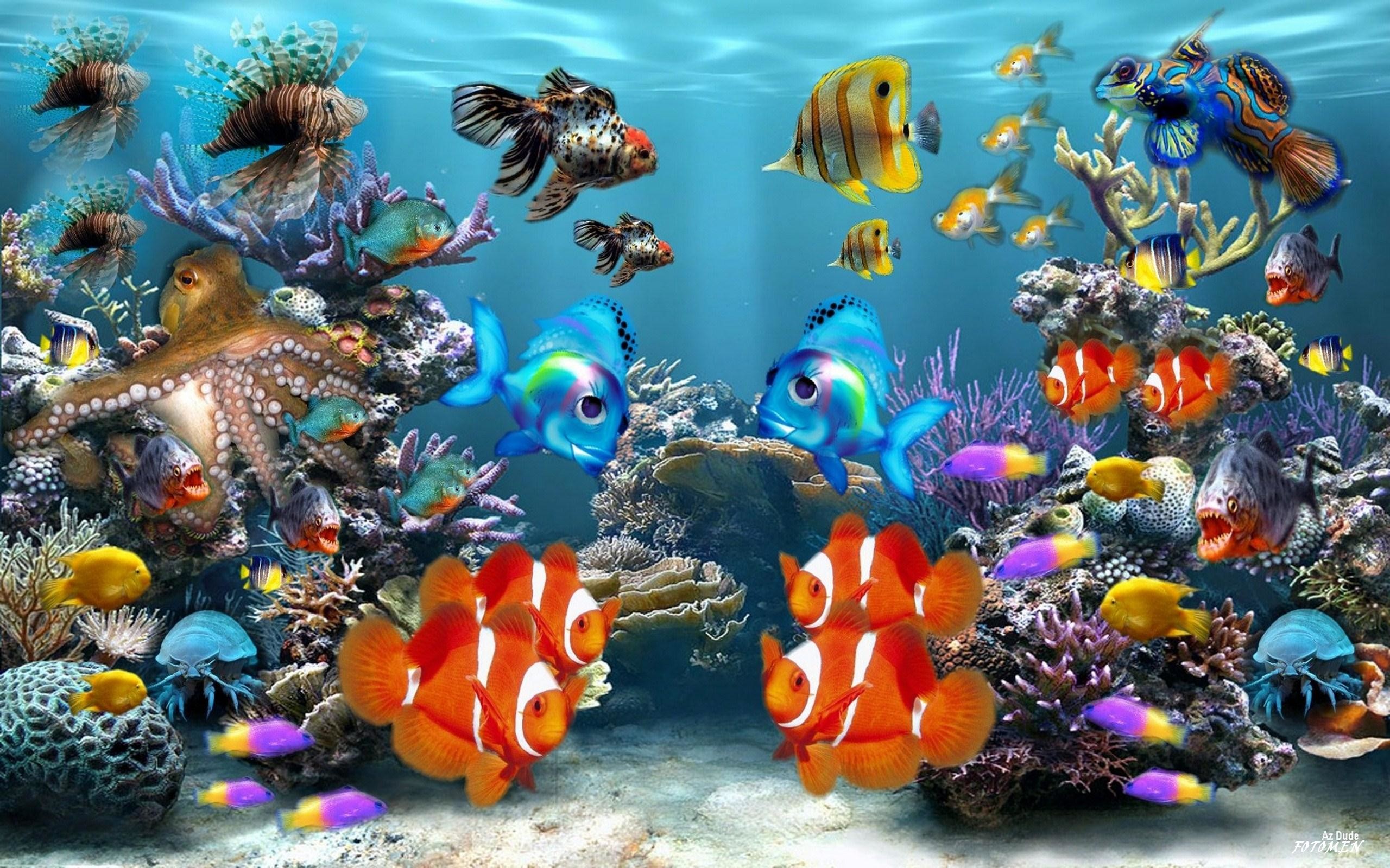 2560x1600 Tropical fish in an aquarium wallpaper