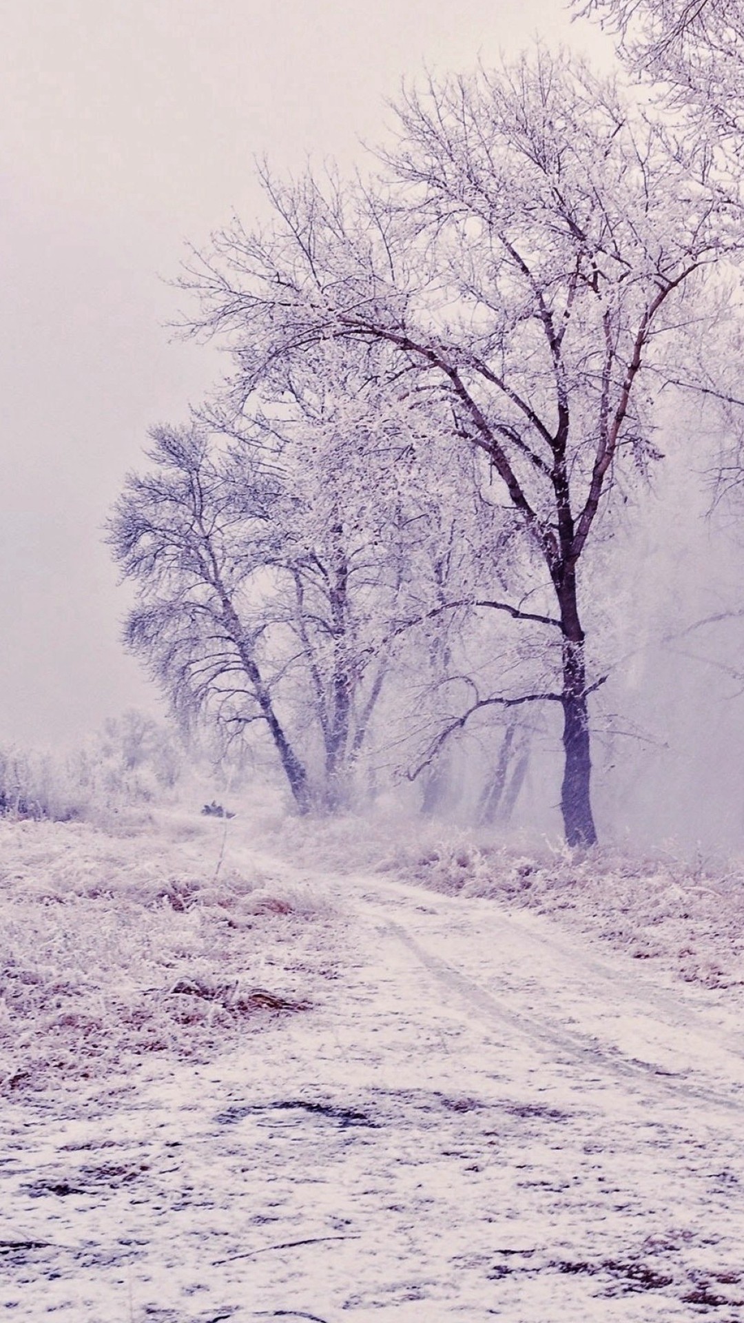 1080x1920 Winter Path Trees Landscape iPhone 6 wallpaper