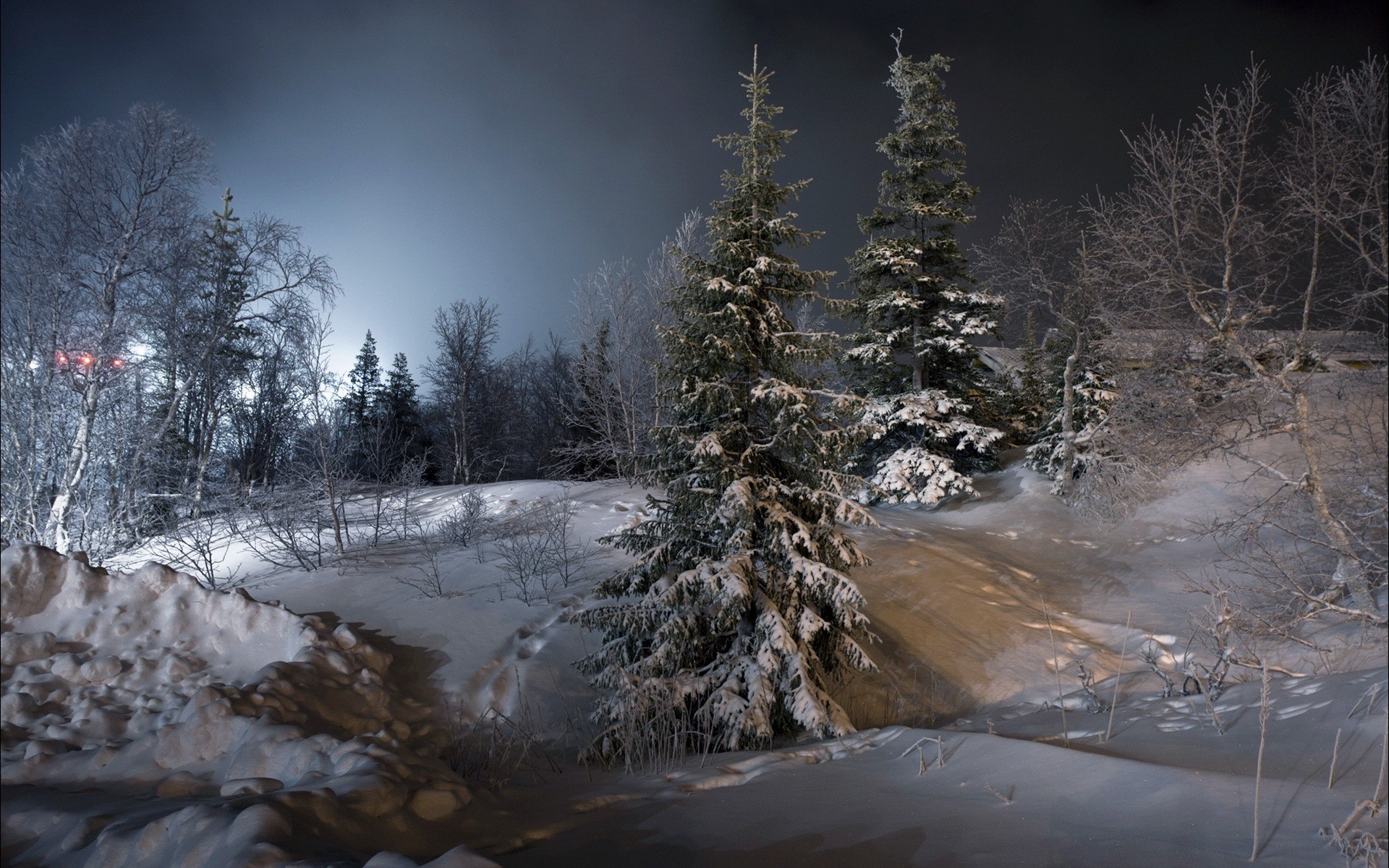 1920x1200 night, Landscape, Trees, Snow, Ice, Winter Wallpapers HD / Desktop and  Mobile Backgrounds