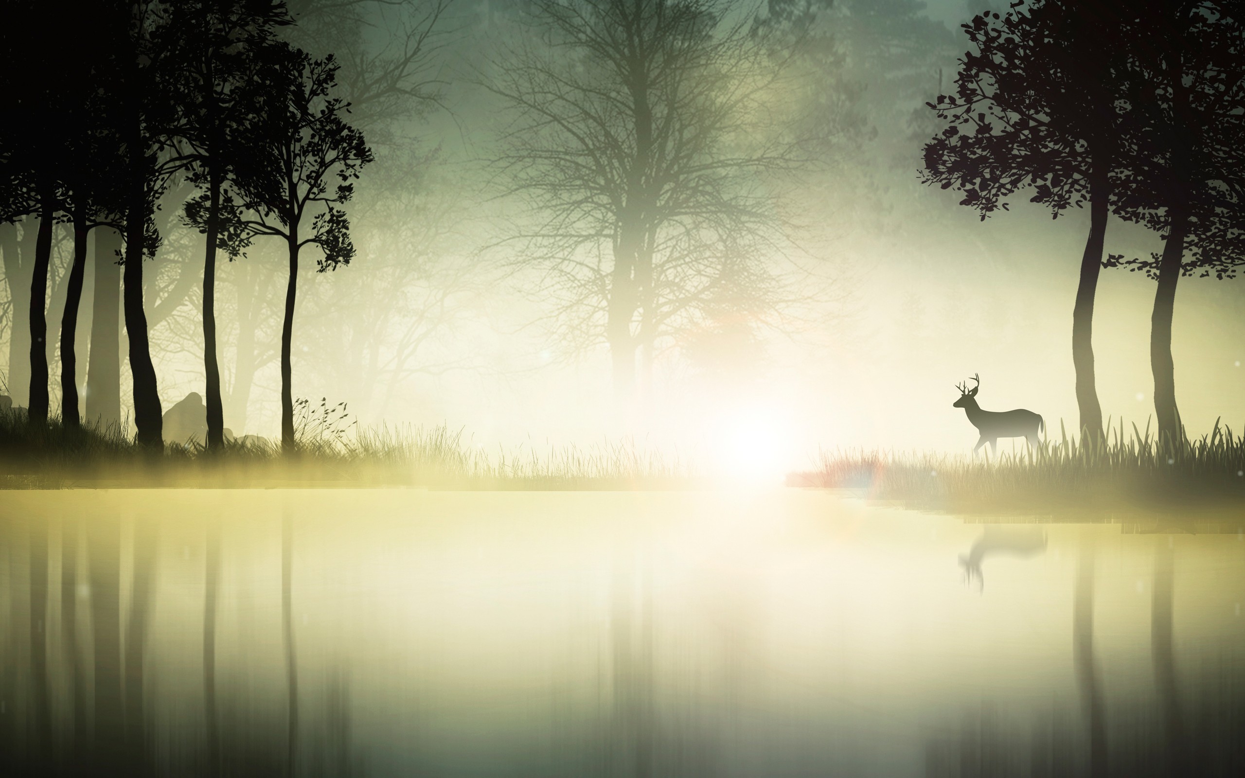 2560x1600 Mystical Forest by Arthouse White Multi Wallpaper Direct