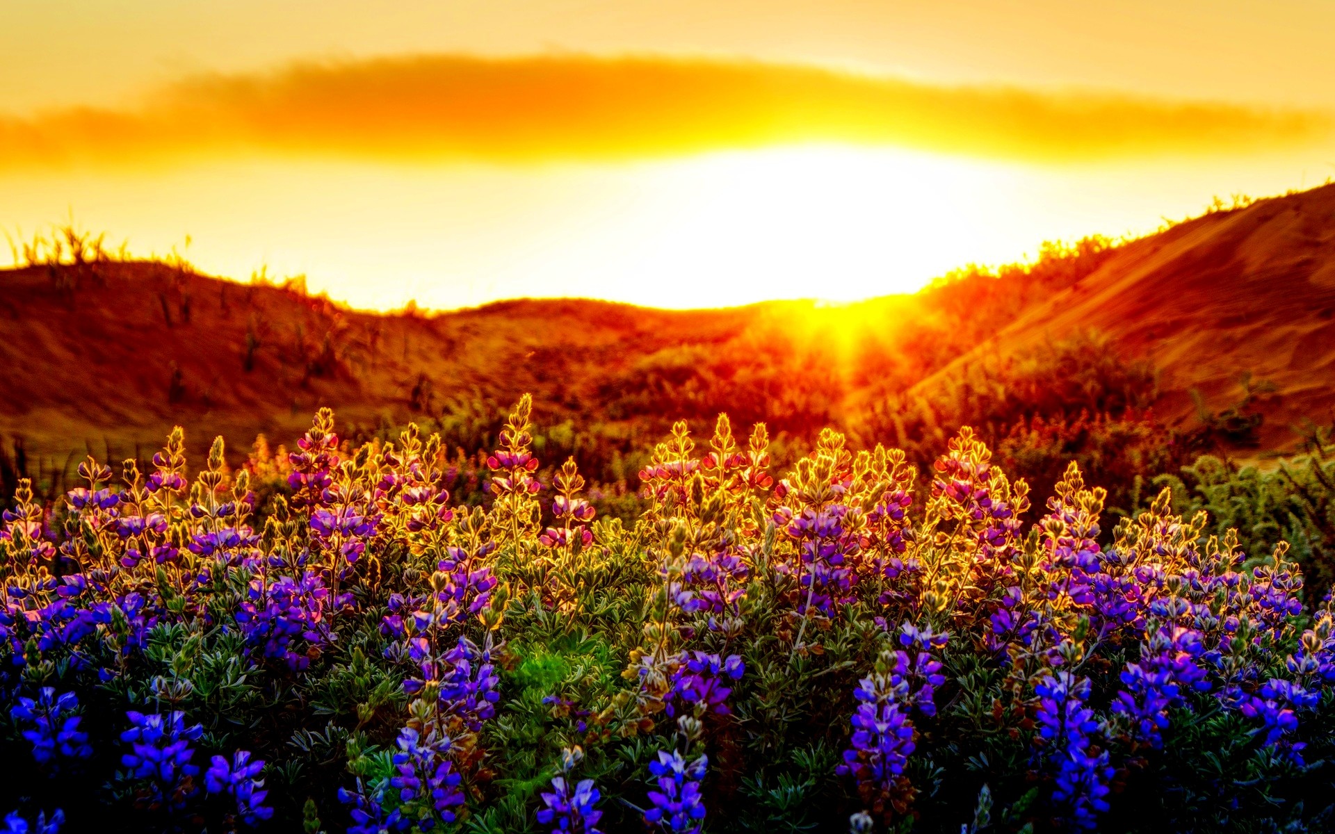 1920x1200 Spring Sunset Background (23 Wallpapers)