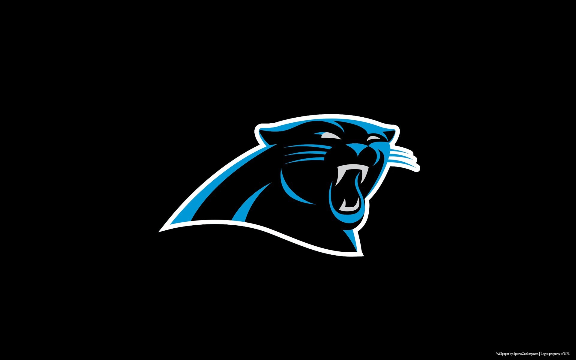 1920x1200 Carolina Panthers Images Â« NFL DOWNLOAD SITE