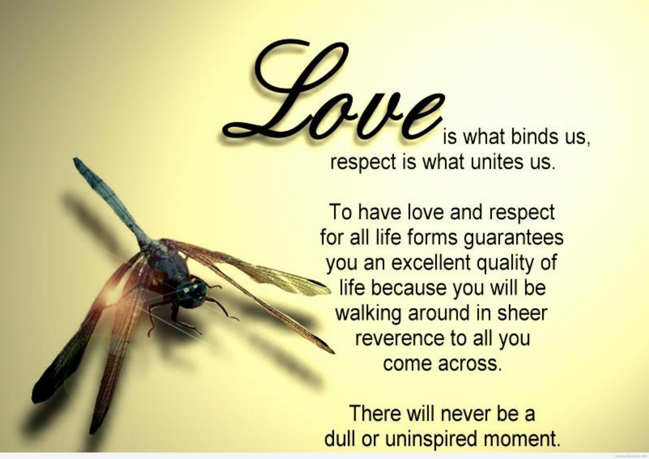 2709x1915 ... beautiful romantic love quotes wallpapers ...