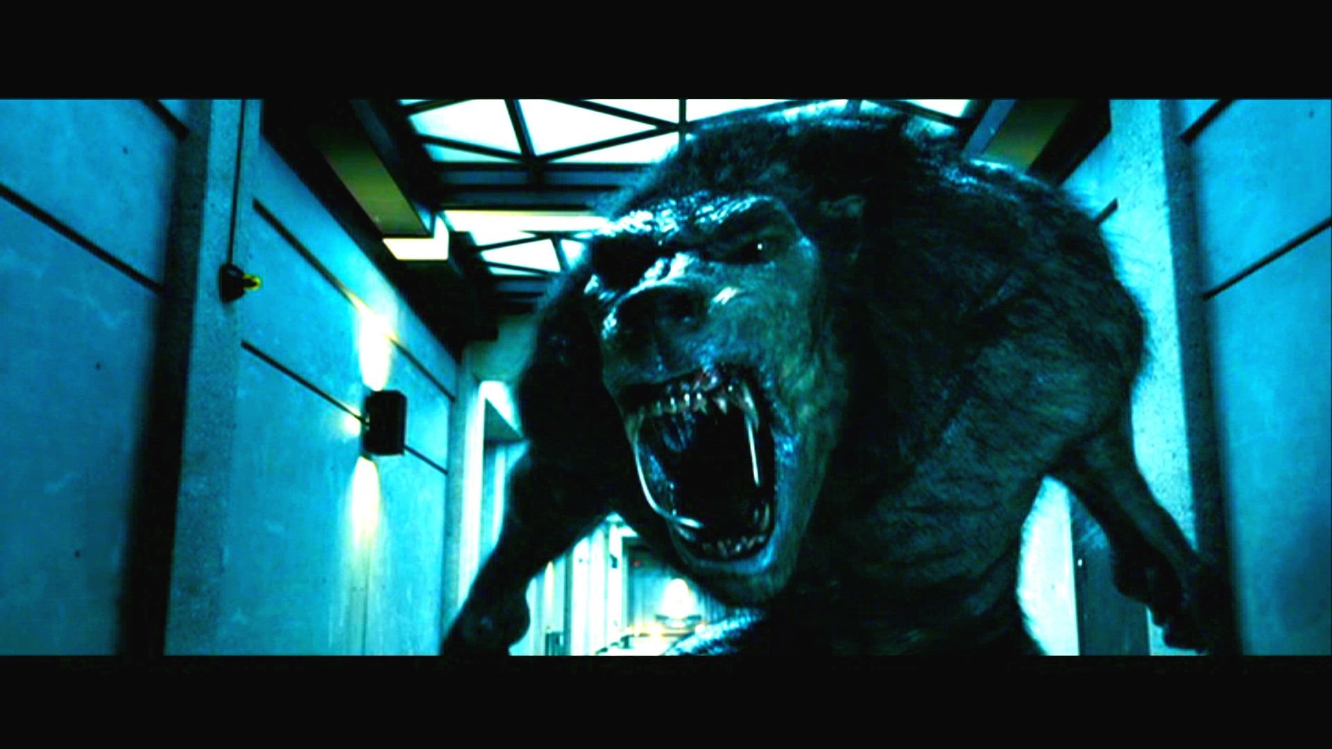1920x1080 UNDERWORLD action fantasy thriller dark lycan werewolf gd wallpaper |   | 235421 | WallpaperUP