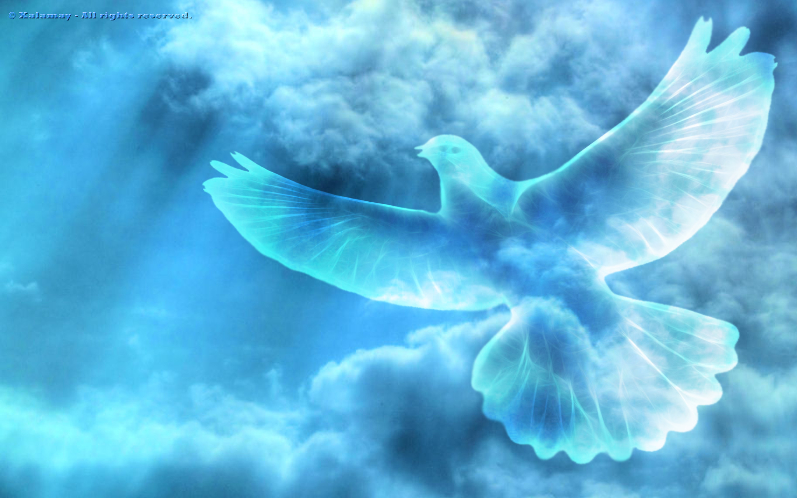 2560x1600 for rest in peace dove displaying 20 images for rest in peace dove .