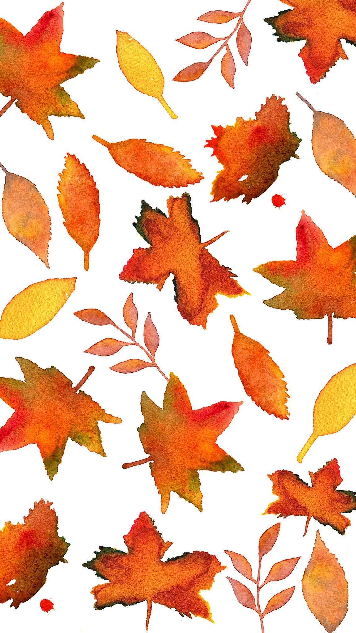 1151x2048 Fall Leaves | Flickr - Photo Sharing! #iphone #wallpaper #leaves  #thanksgiving